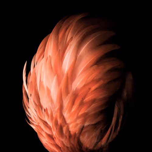 Flare