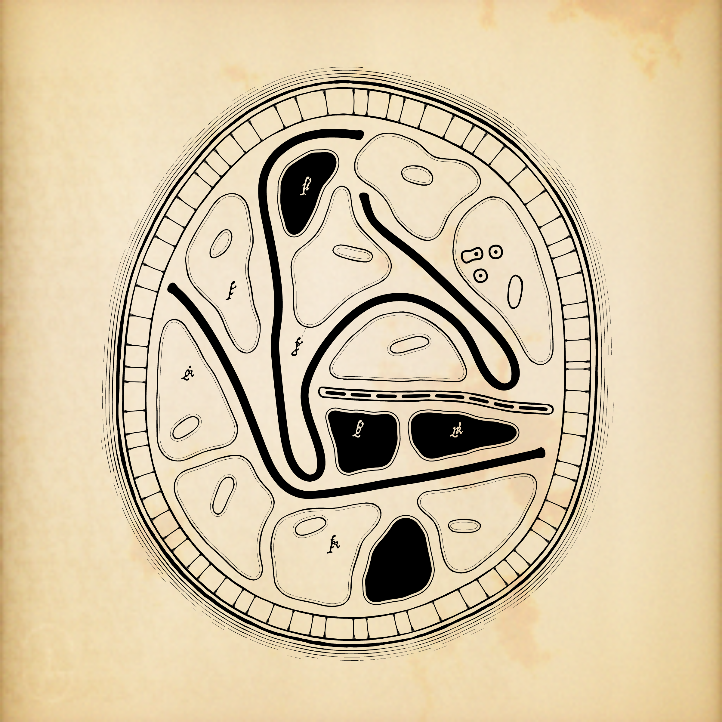 Cytographia #375