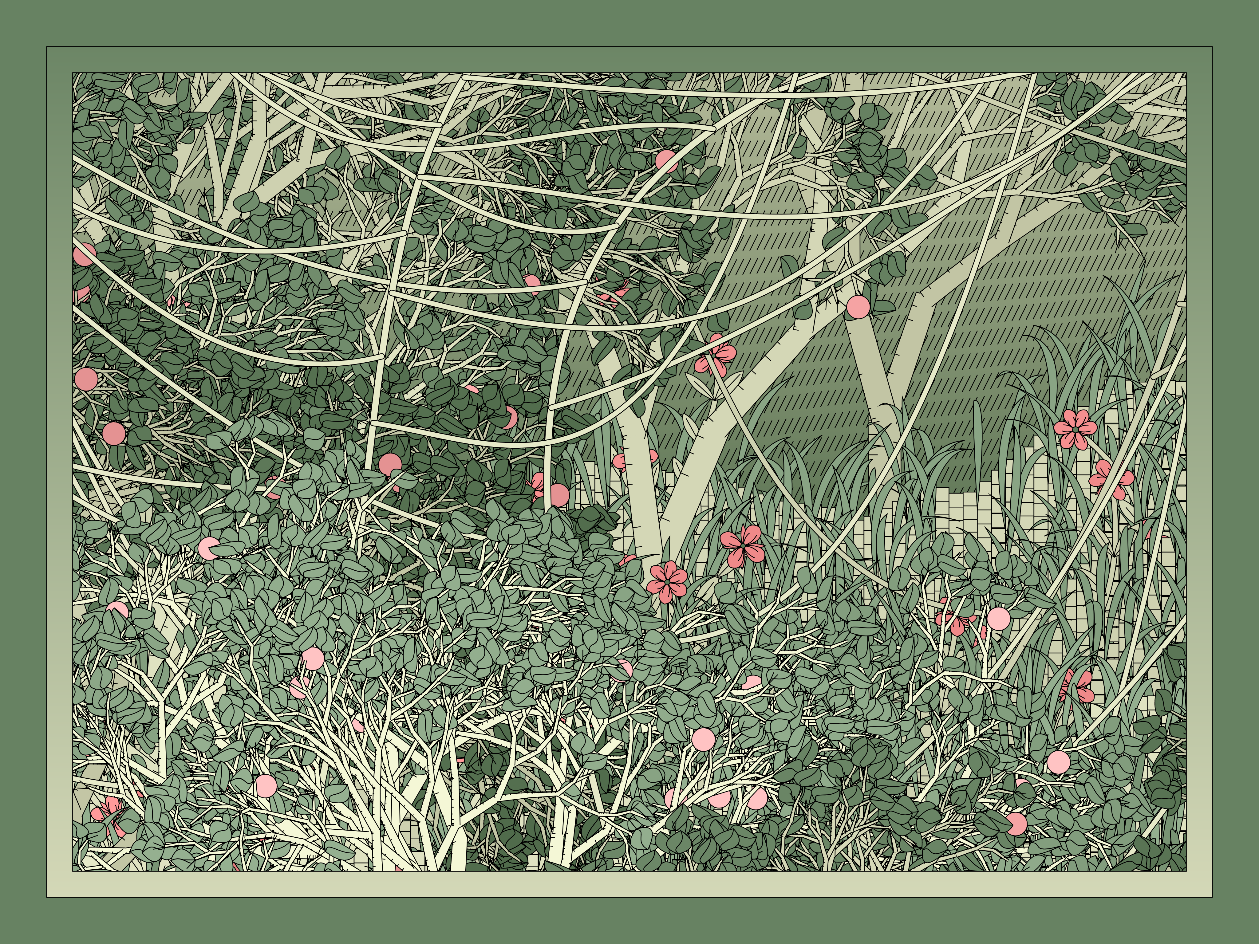 Entangled #70