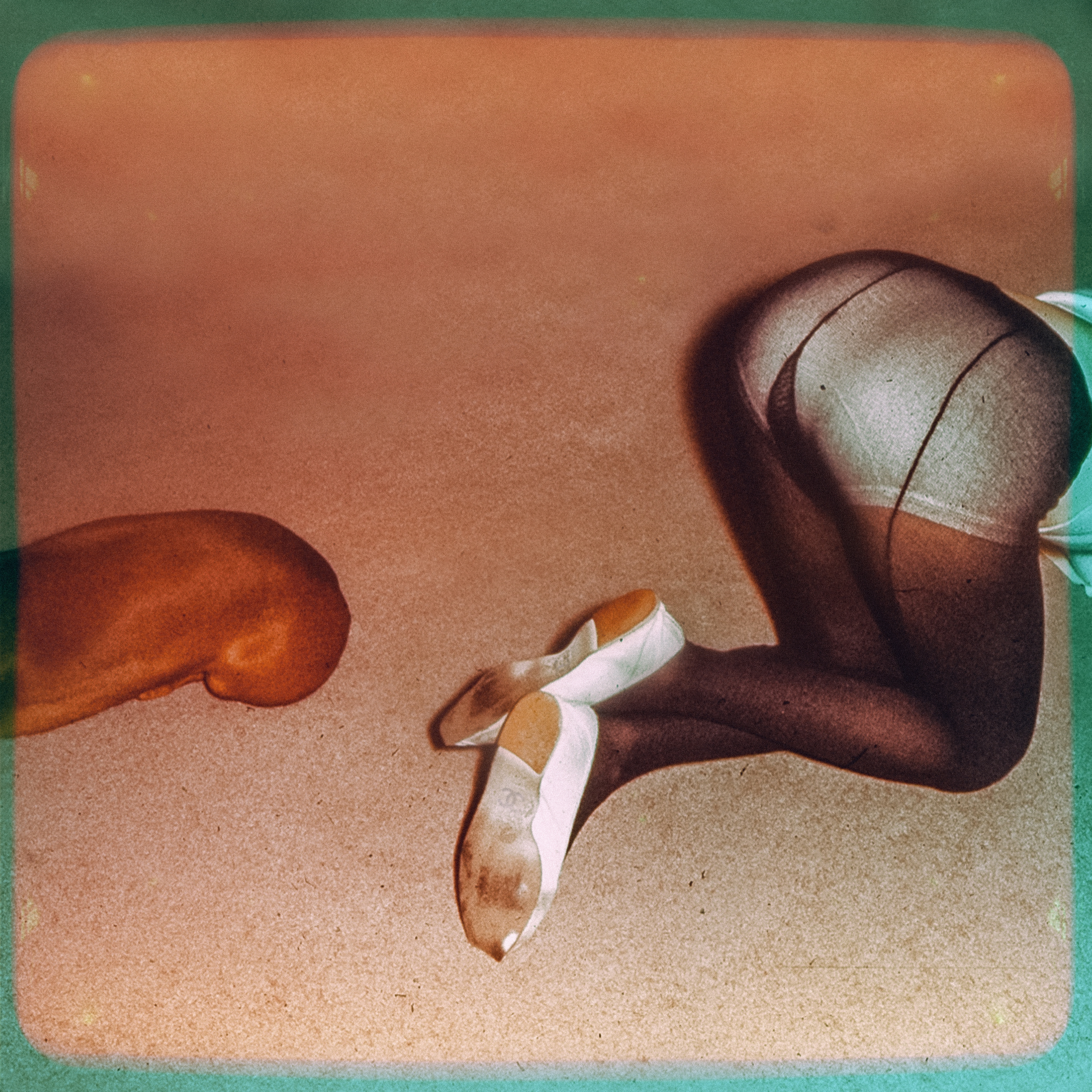 Dog World #5/8
