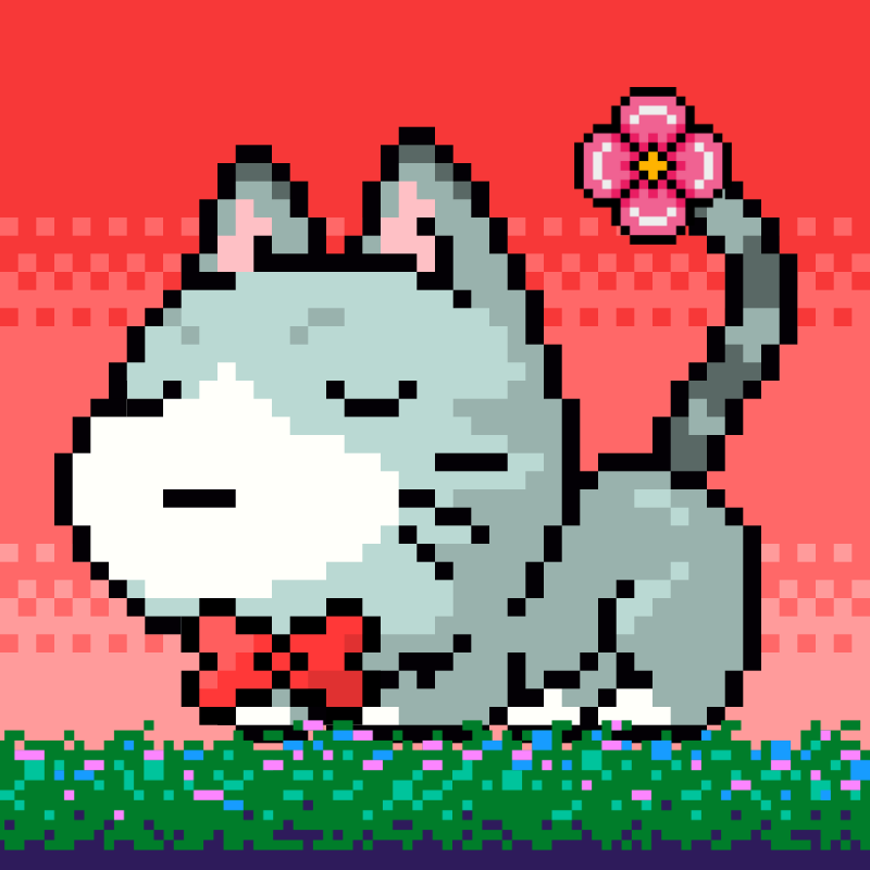 Catxoxo #2210