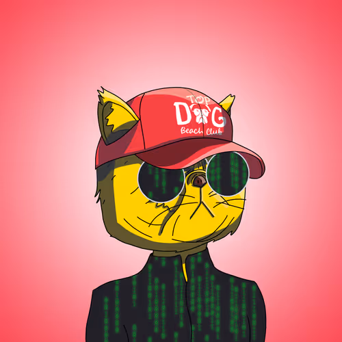 Top Cat #3025