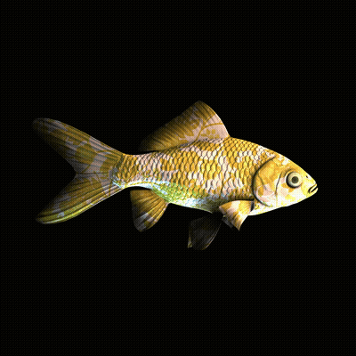 CryptoFish #2157