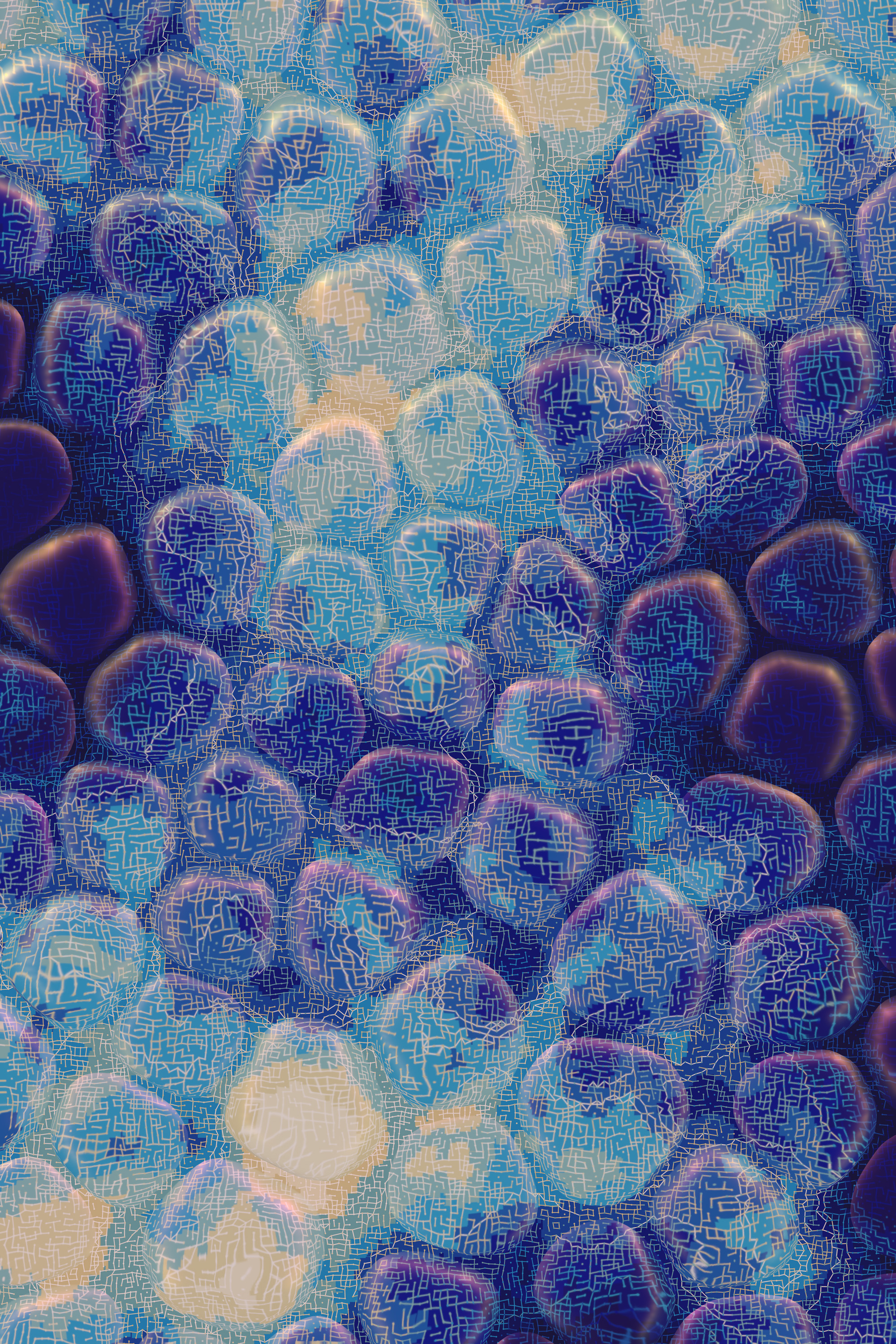 Vitreous #2