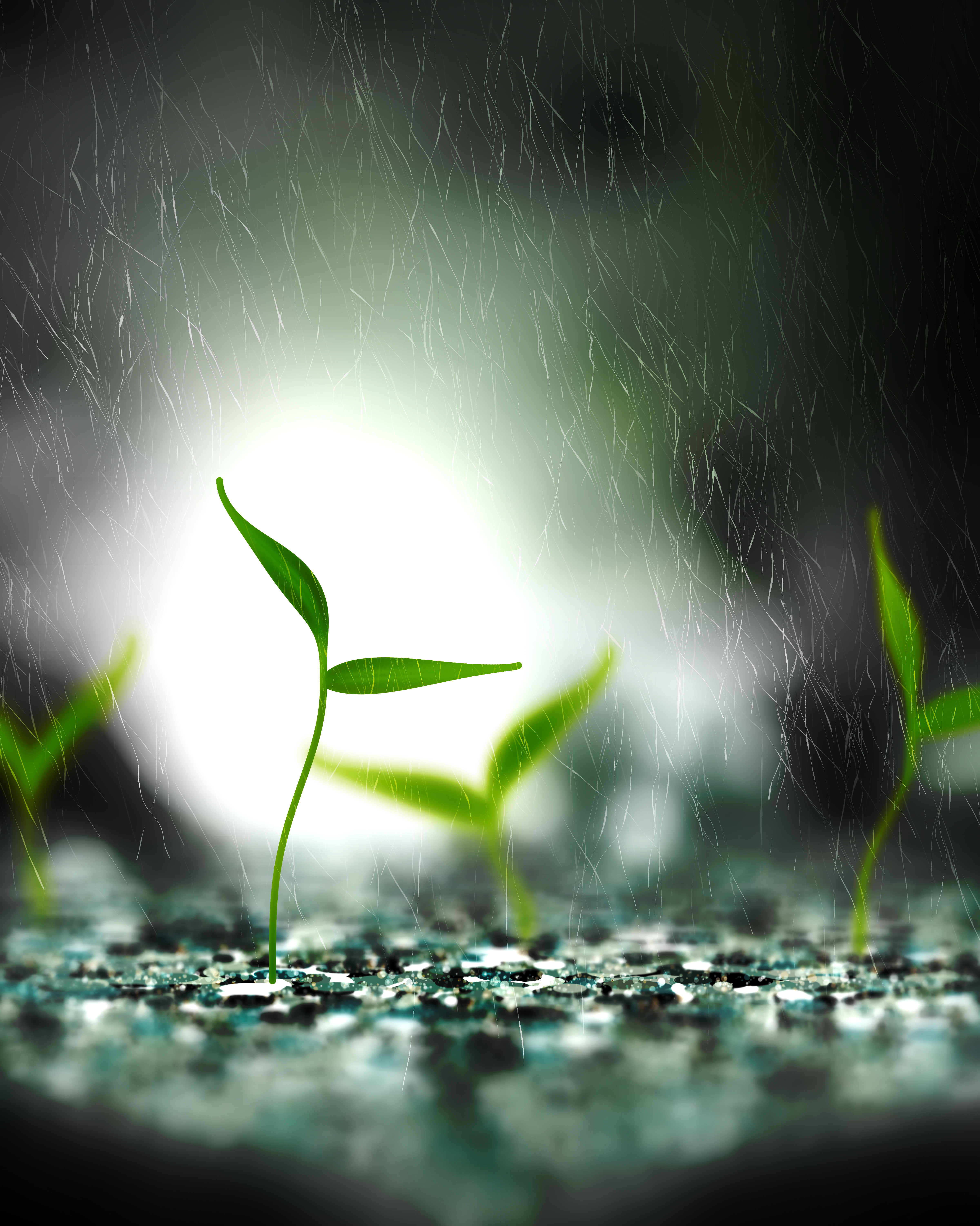 Take Root #1