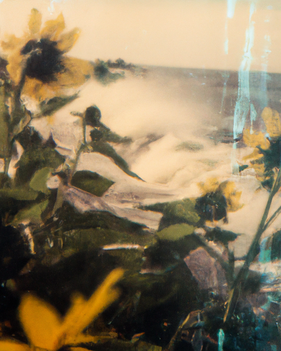 Tsunflower Chaos #24