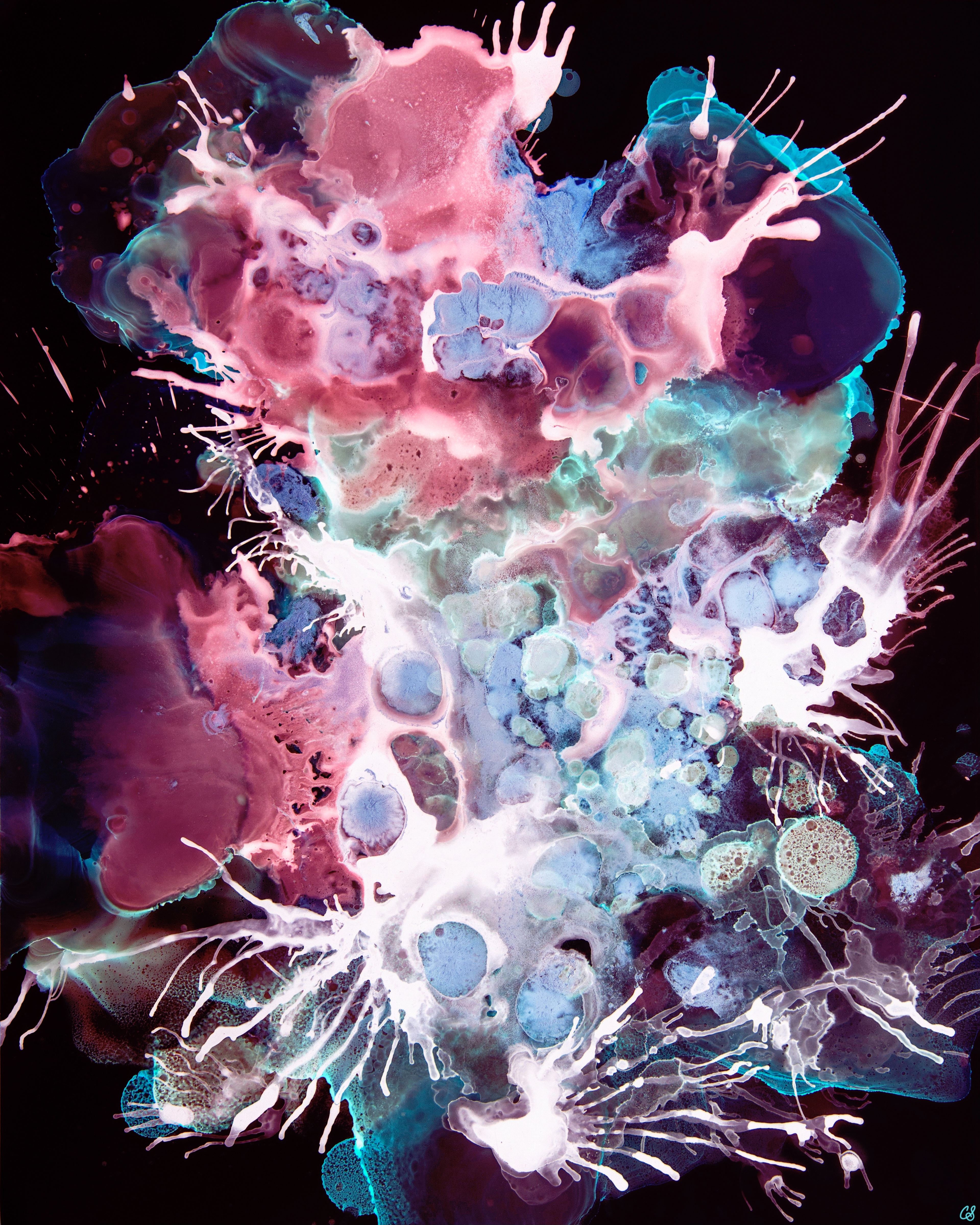 No. 12 New Nebula