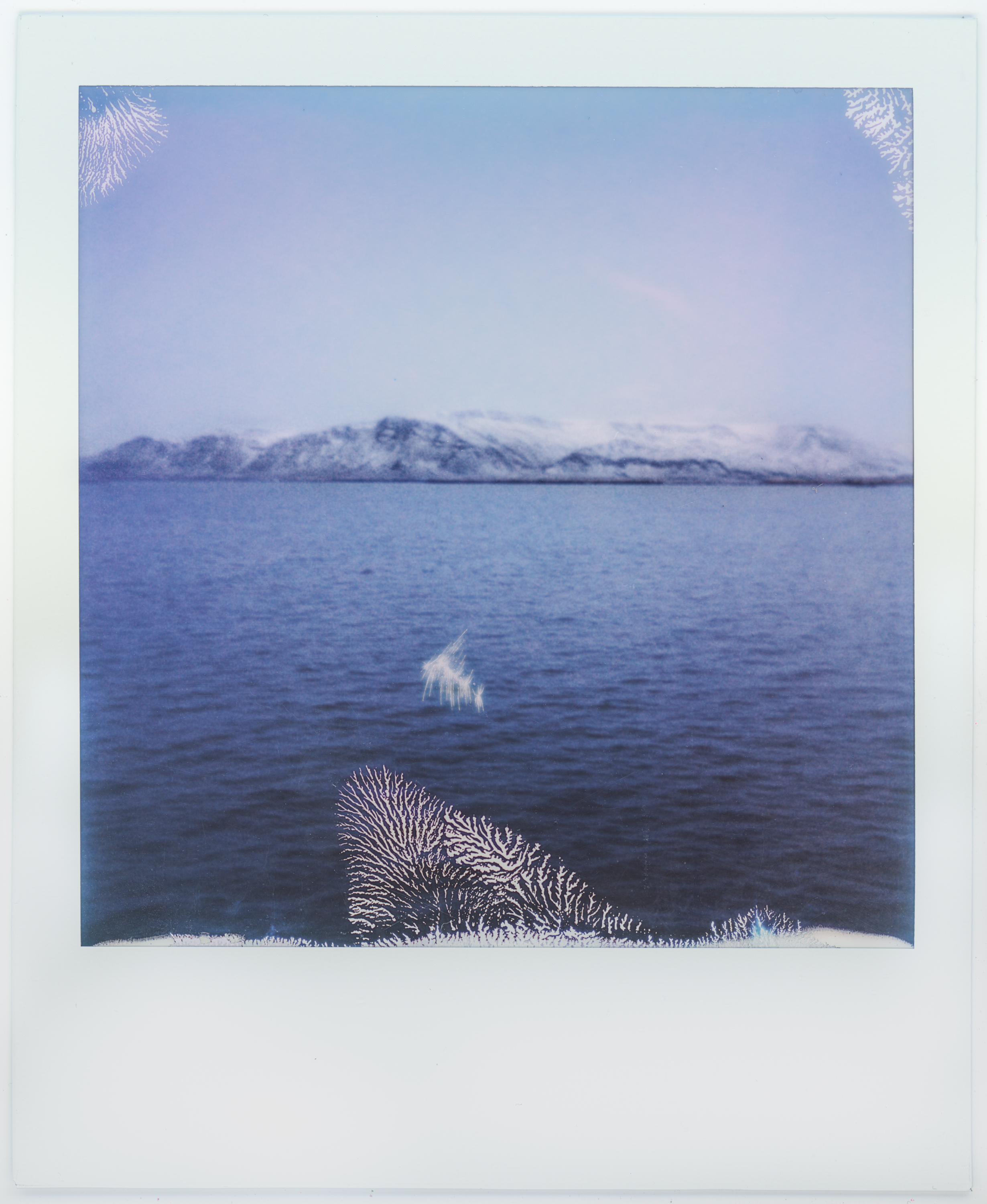 Reflections on Perspective #4