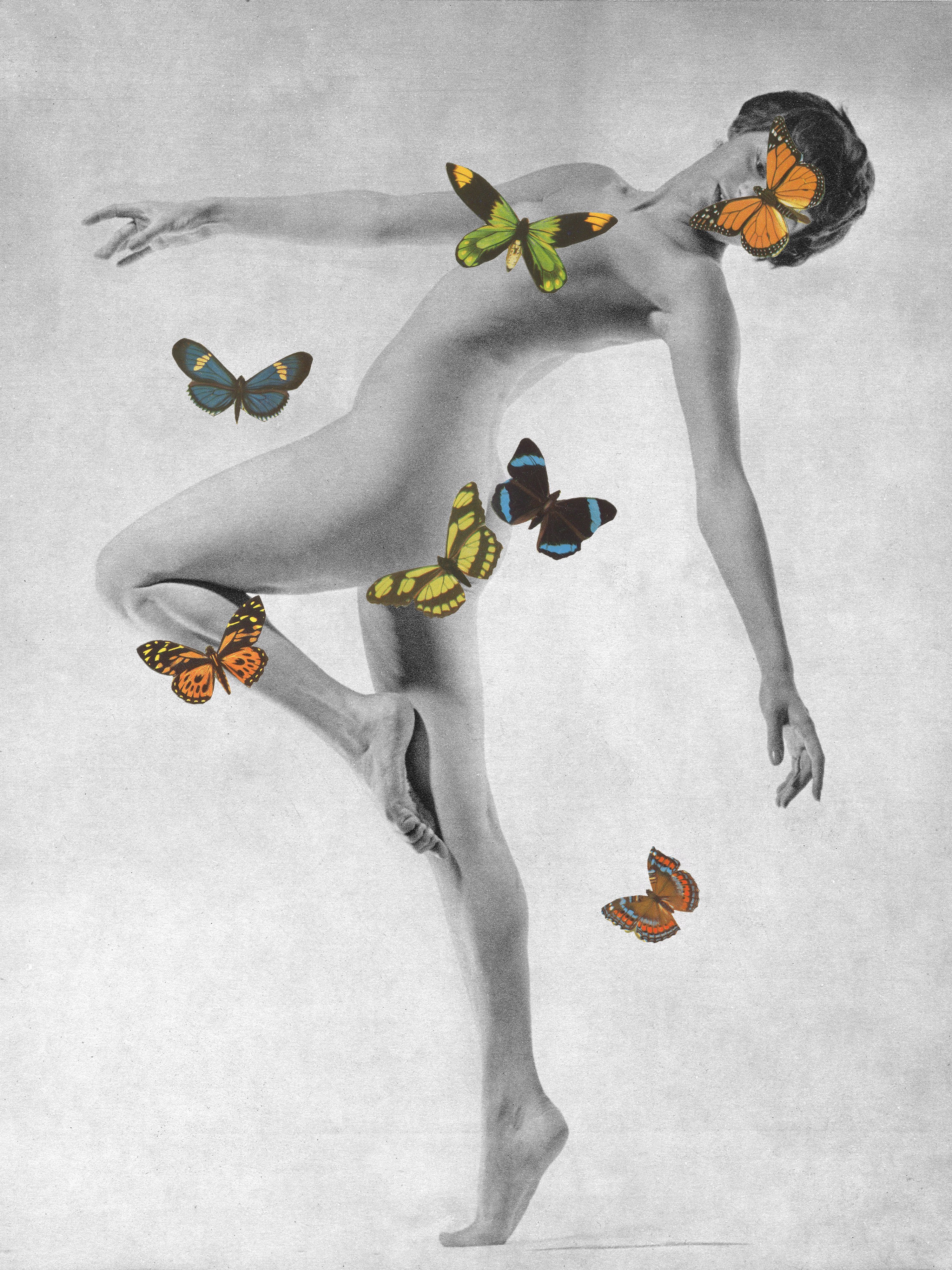 Paper Wings