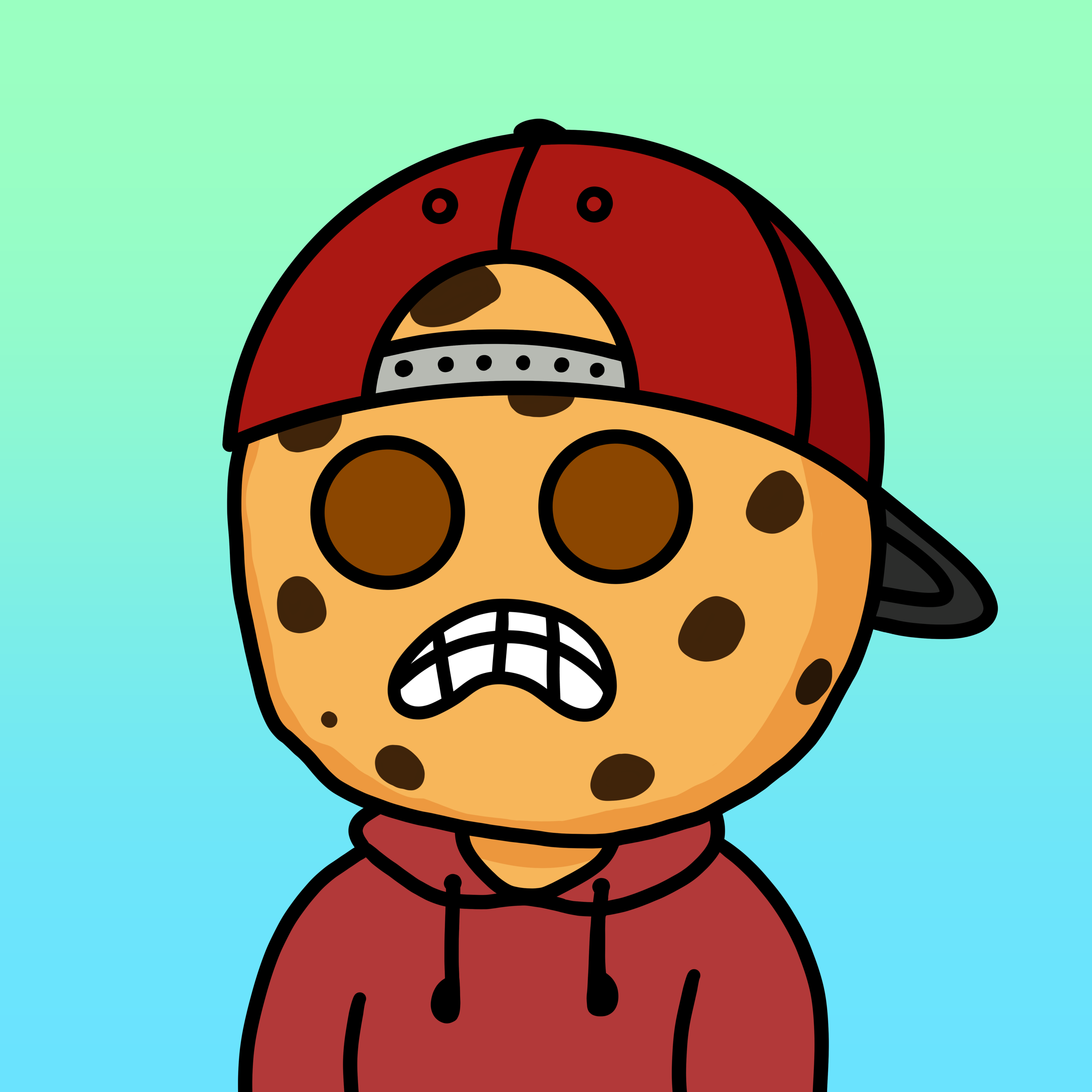 Cool Cookie #1666
