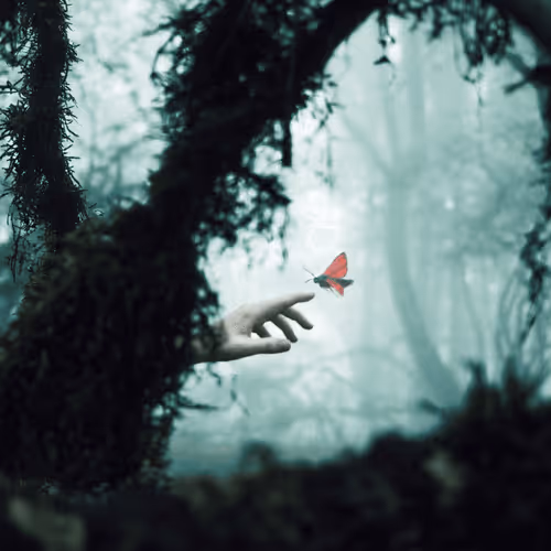 Moth Valley Origins