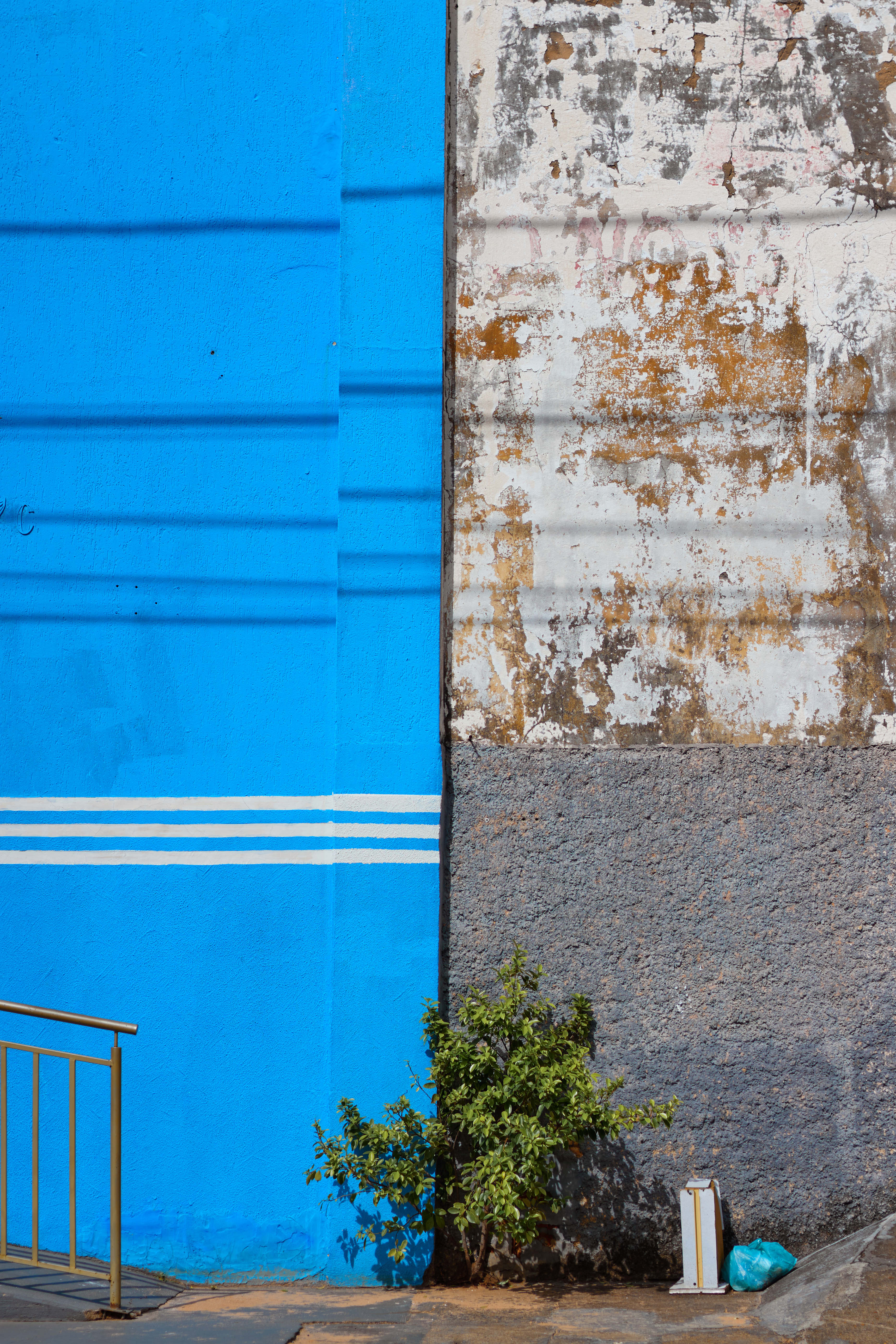 Contrast #3