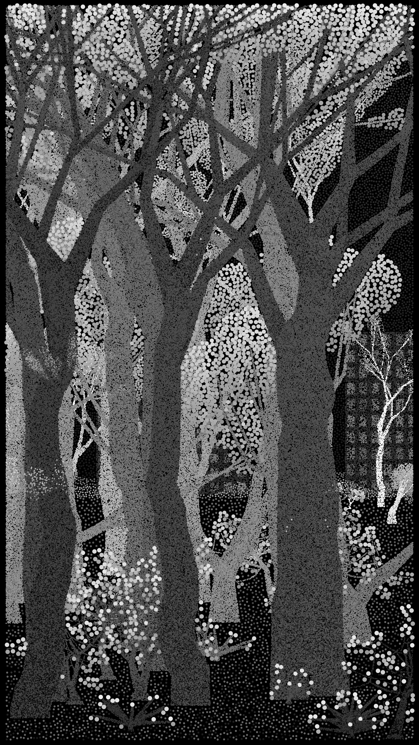 Bosque de Chapultepec #63