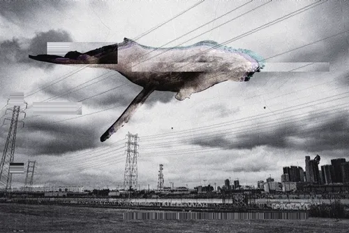 Inversion of Natural Order, Whale