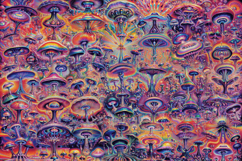 Shroomernova: A Chromatic Voyage Through Consciousness