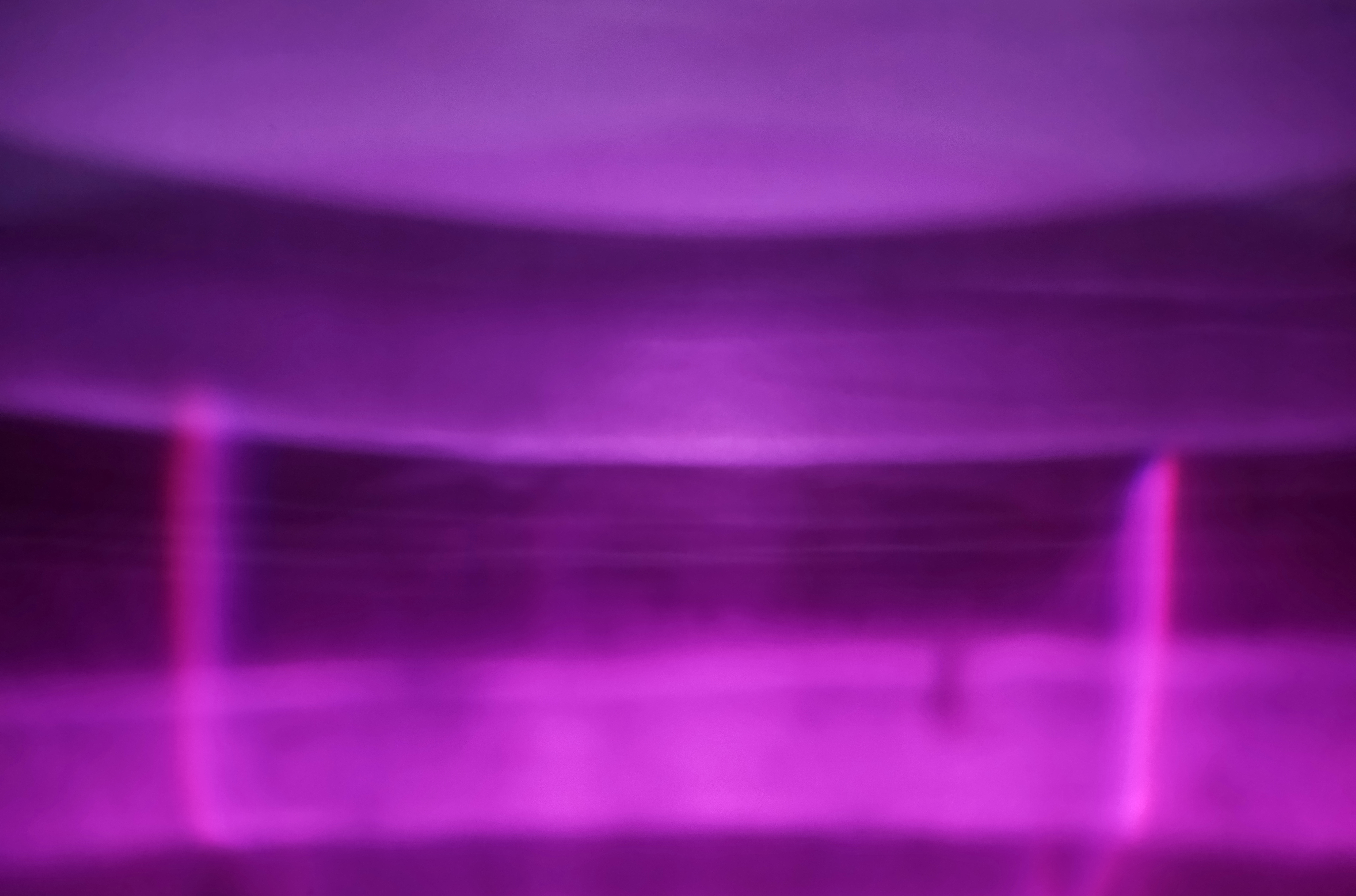 Portal #29