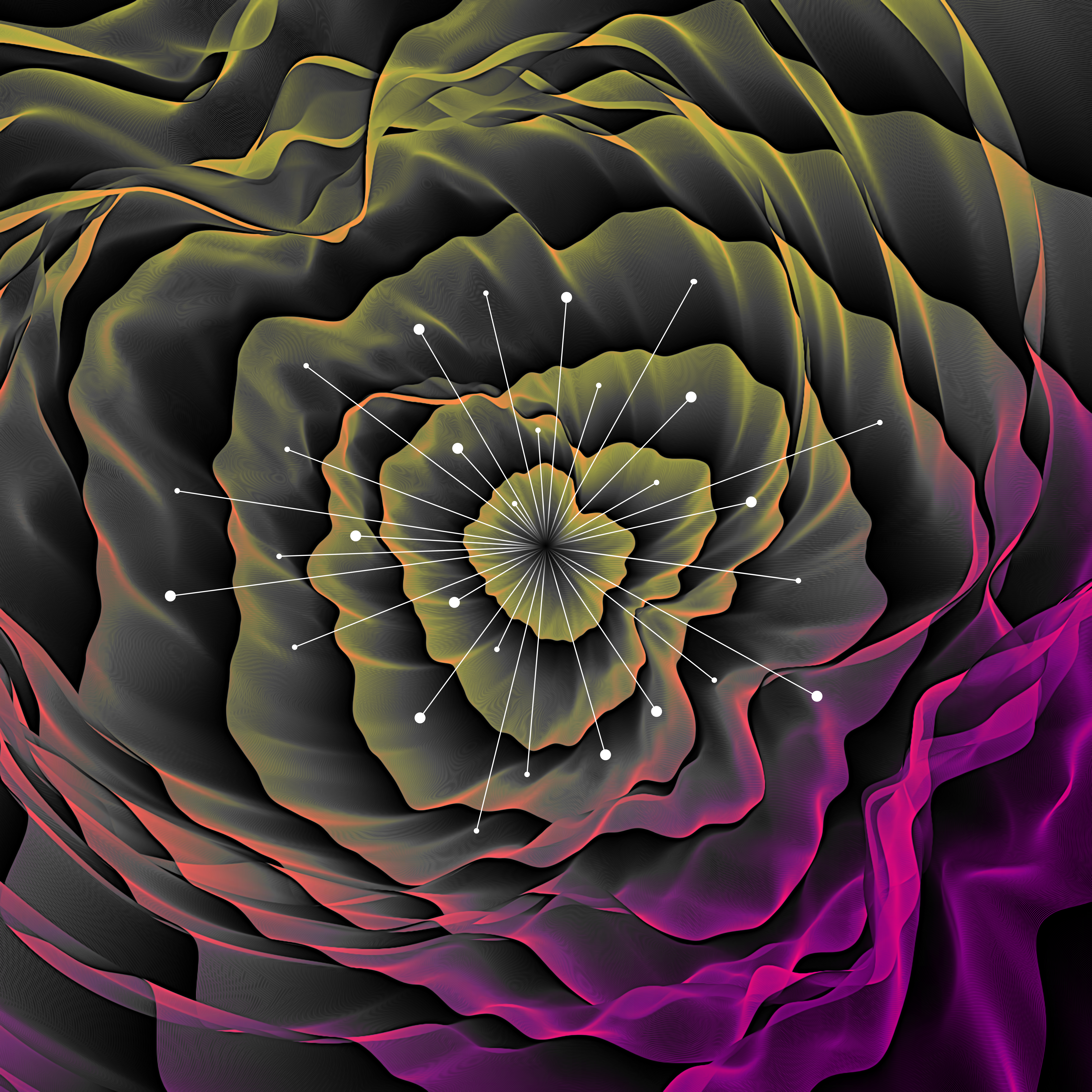 Flora Study #2/3