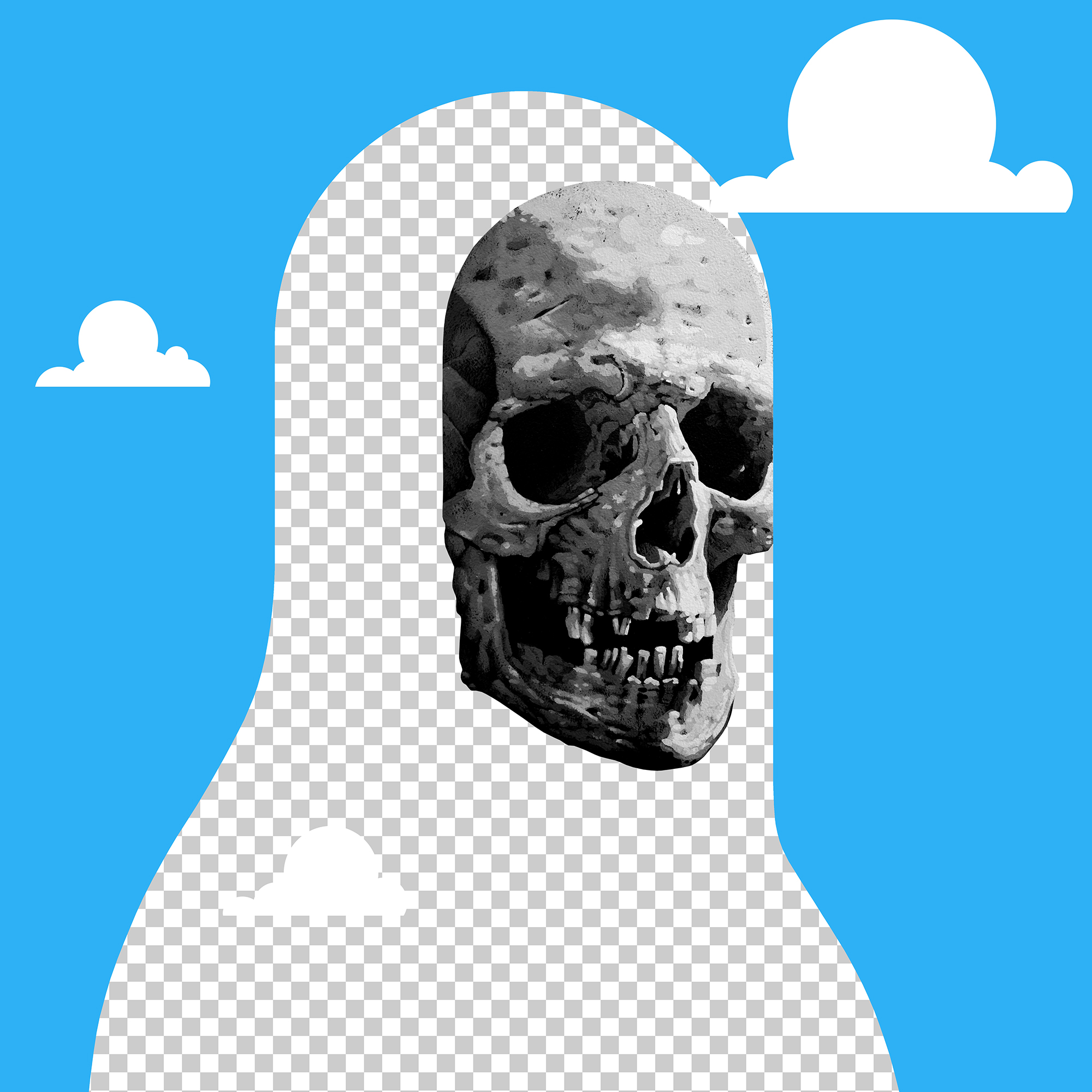 Cyber Bandit #67