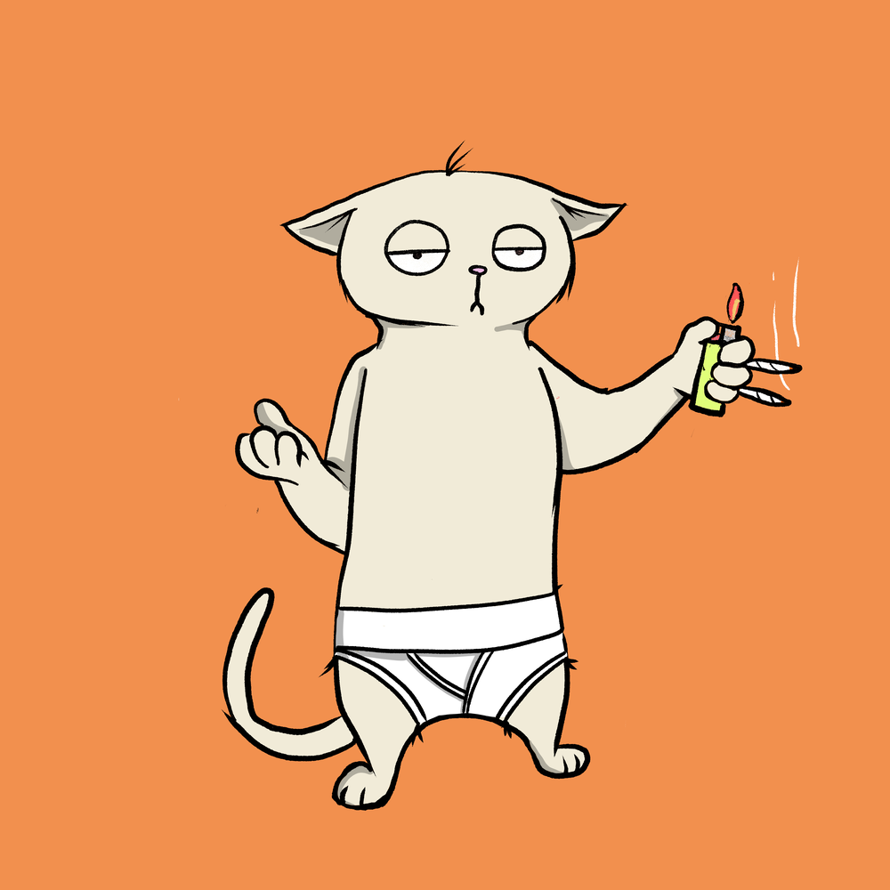 Blazed Cat #3370
