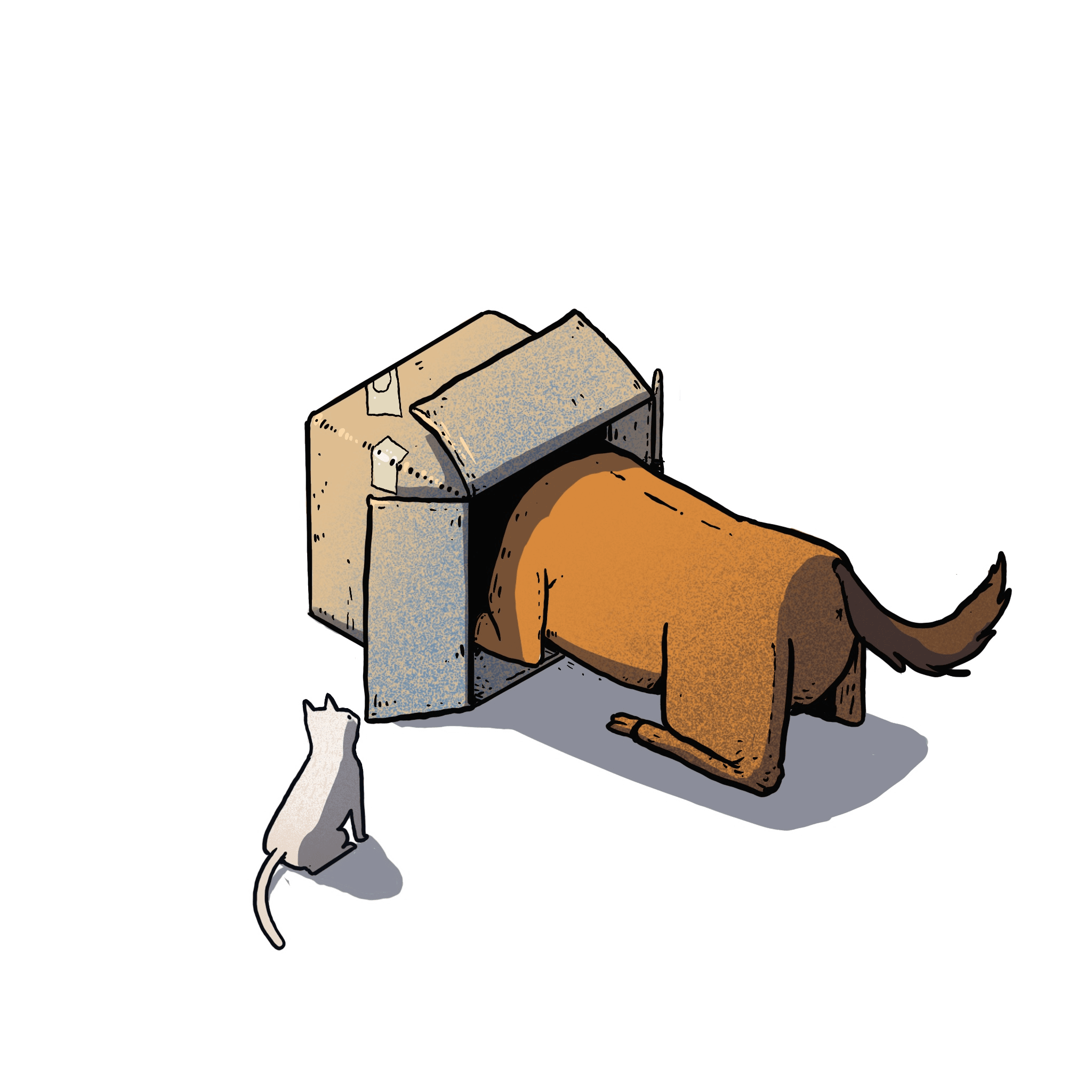 it"s a cat - 03