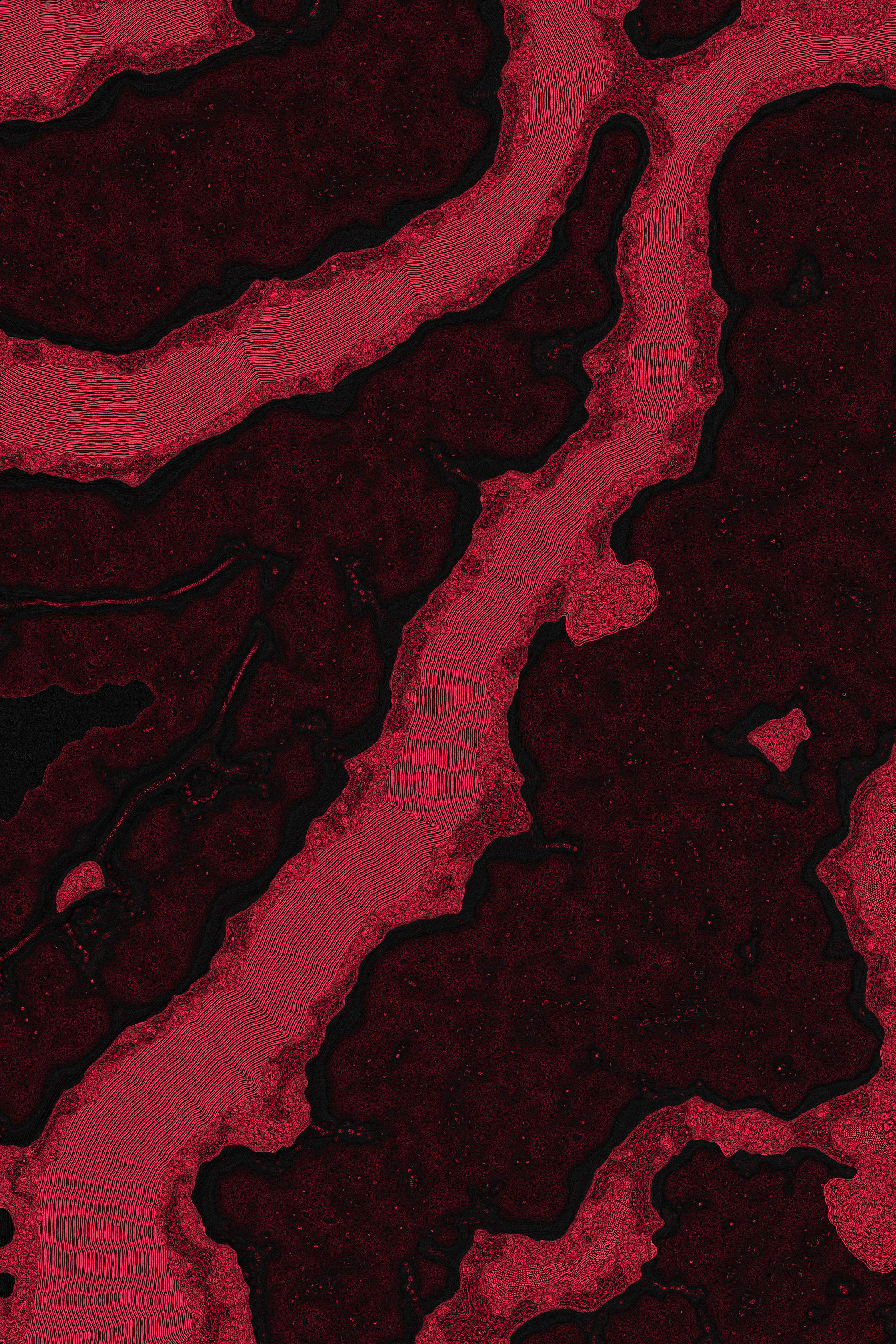 Dactylogram #122