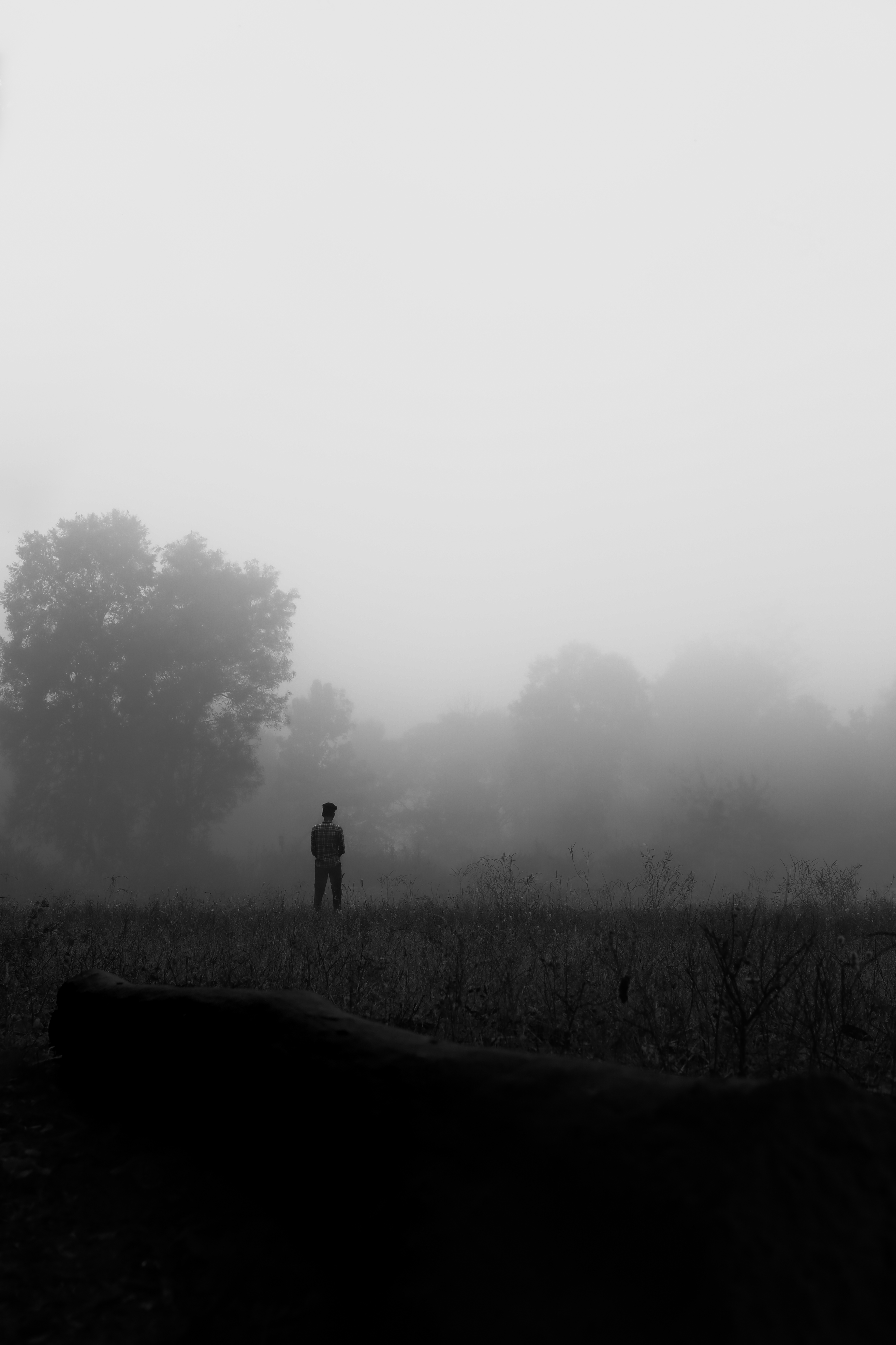 Morning Fog