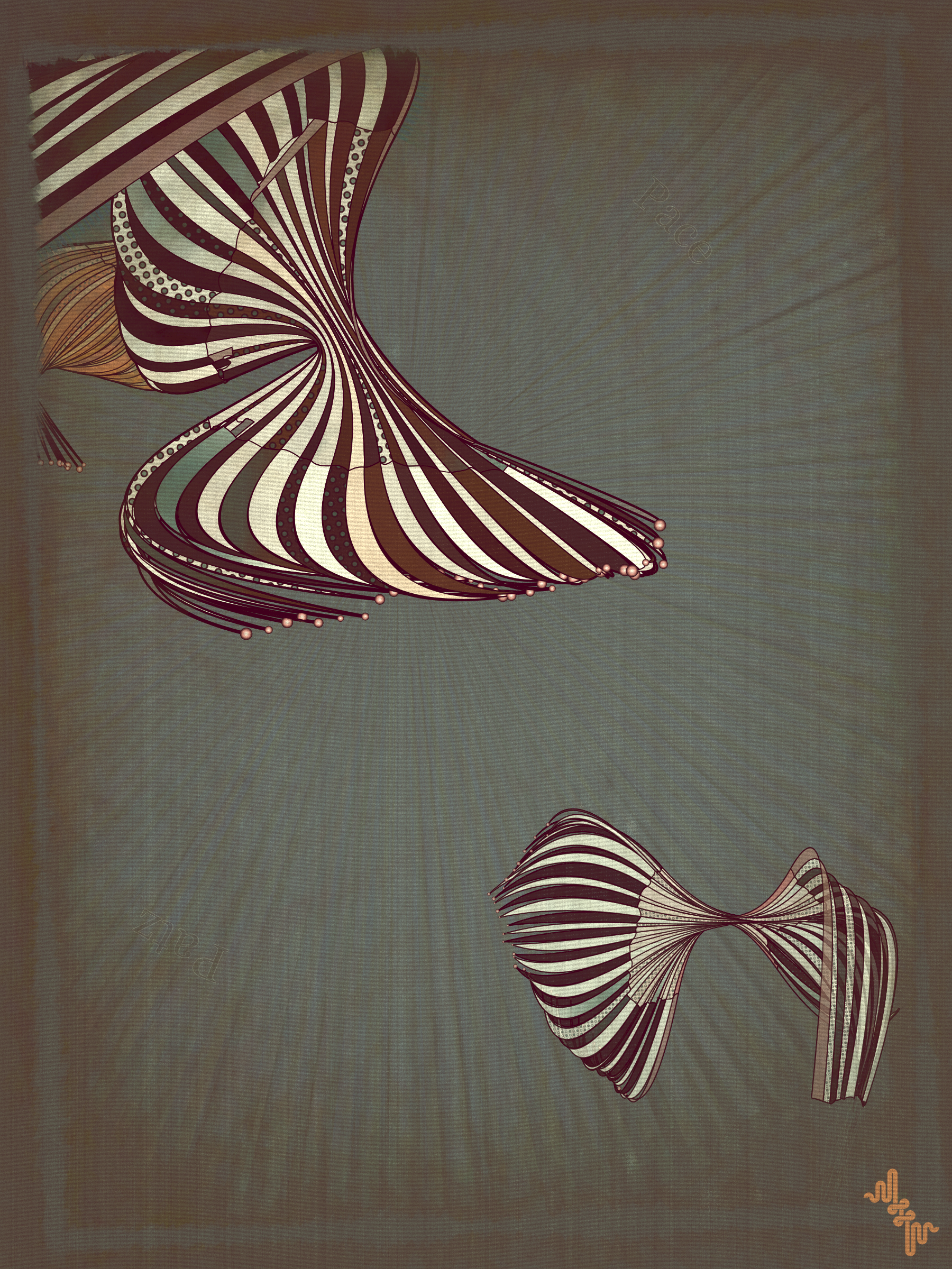 Velum #17