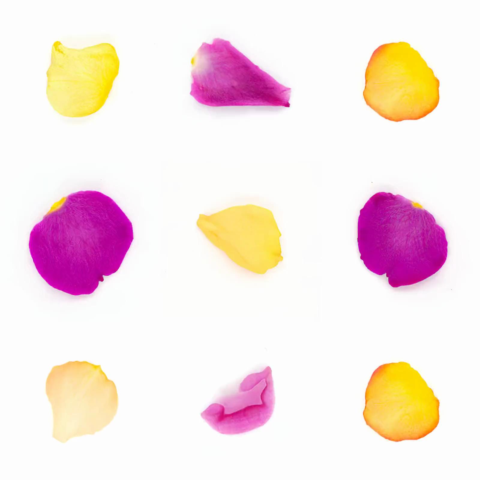 Infinite Petals 3x3#1449