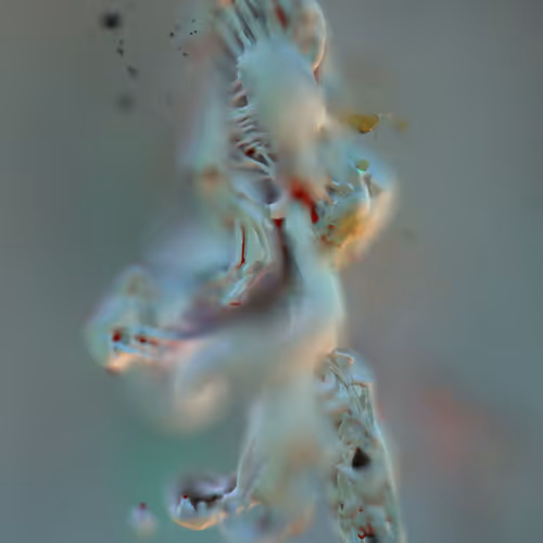 Inward Volume