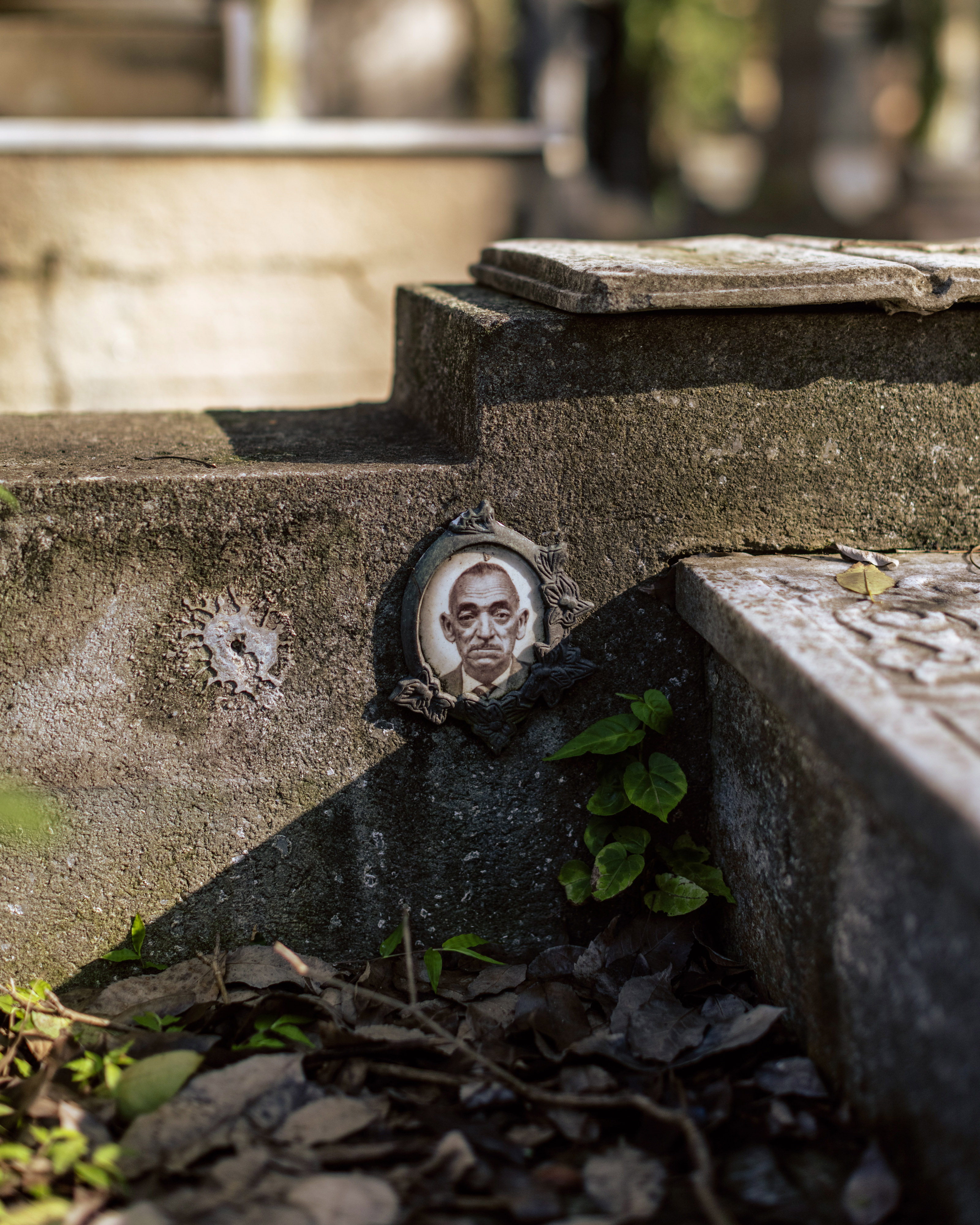 Desconstructo - All that remains in the end are faded portraits.