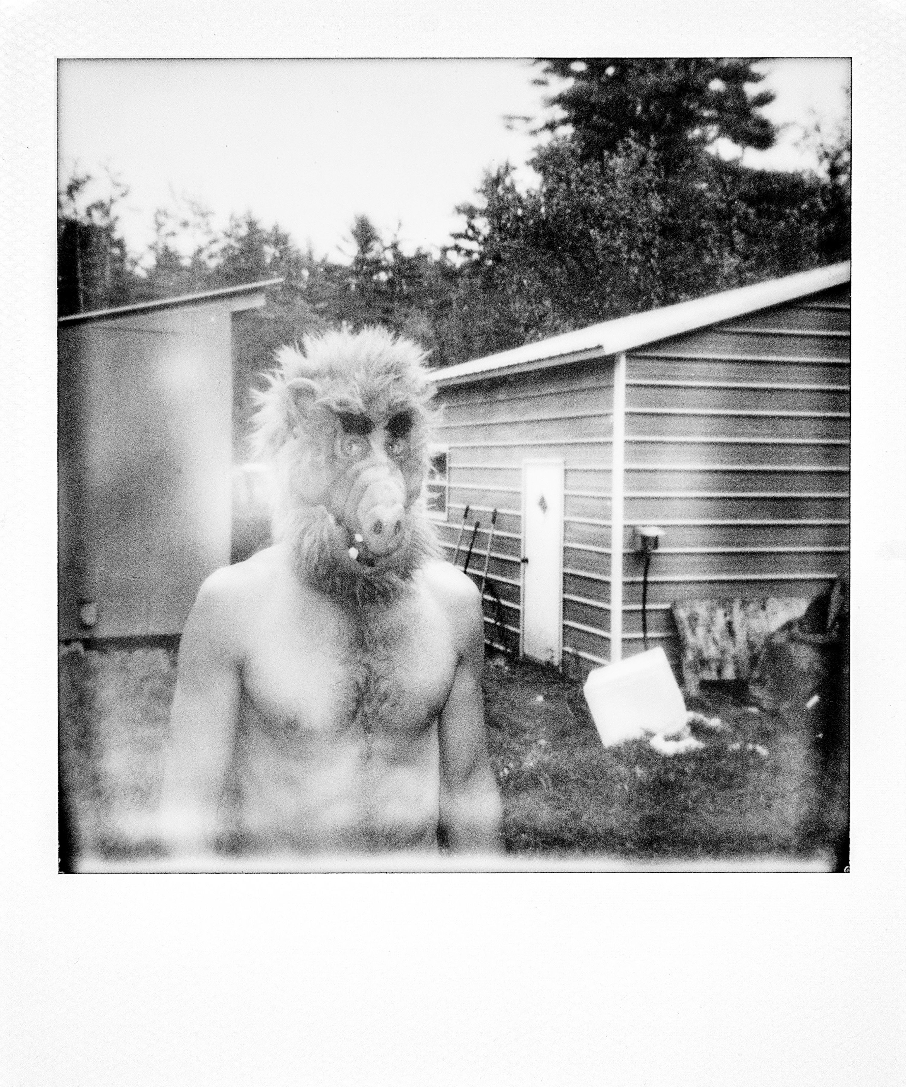 Gummo Land 25