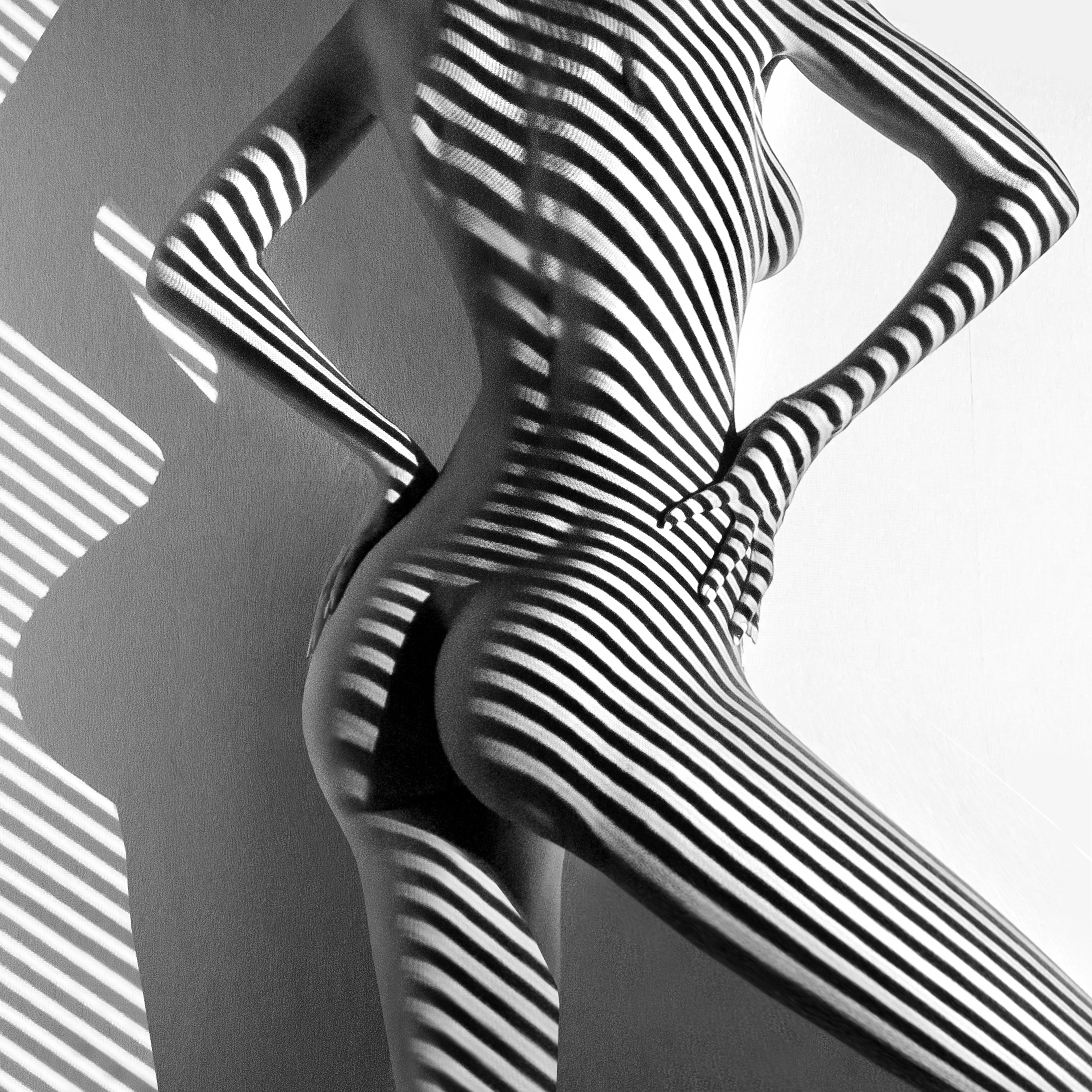 Shadows #62