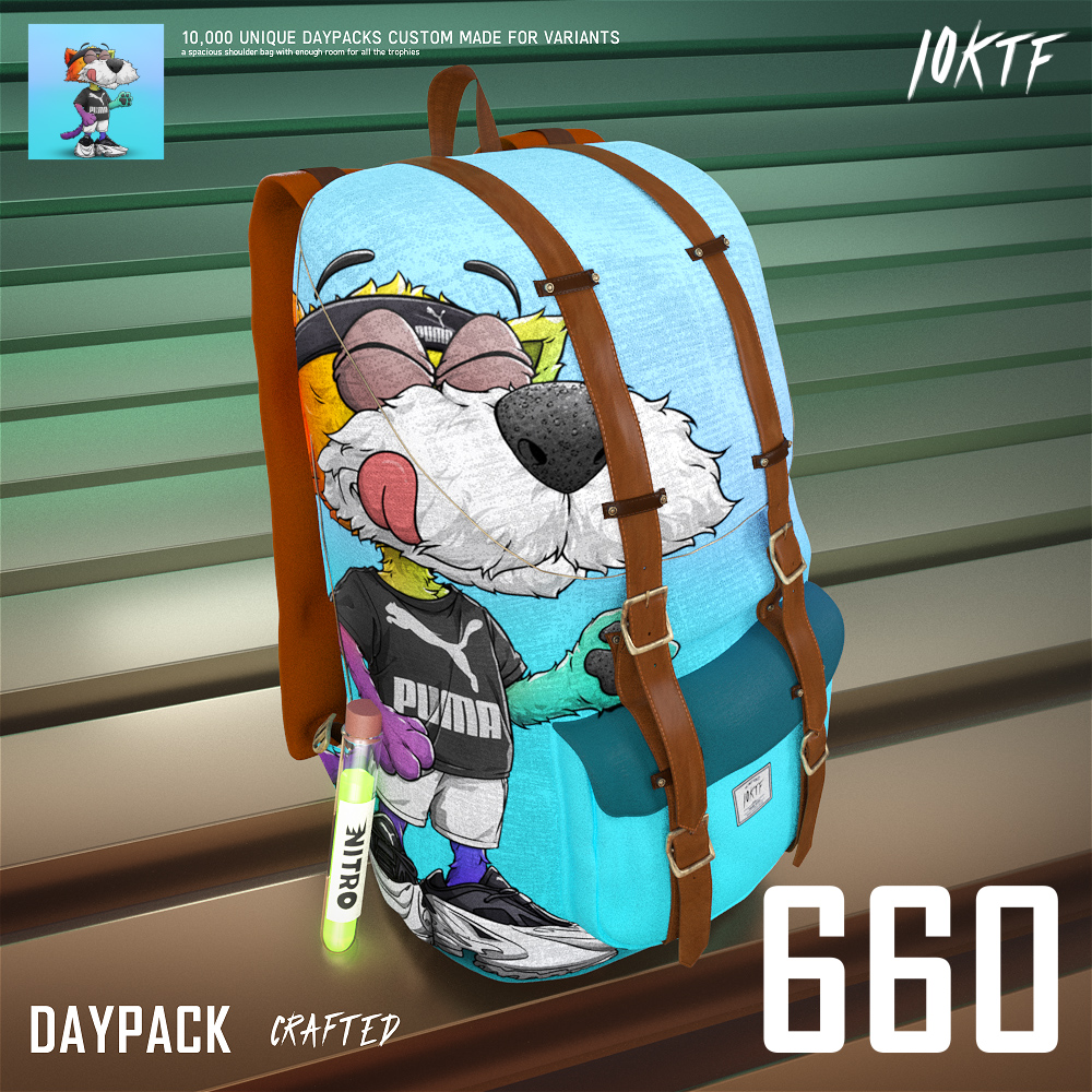 Puma Daypack #660