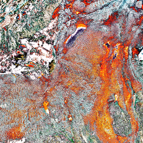Bleeding Of The Earth : Cremation - Body #10