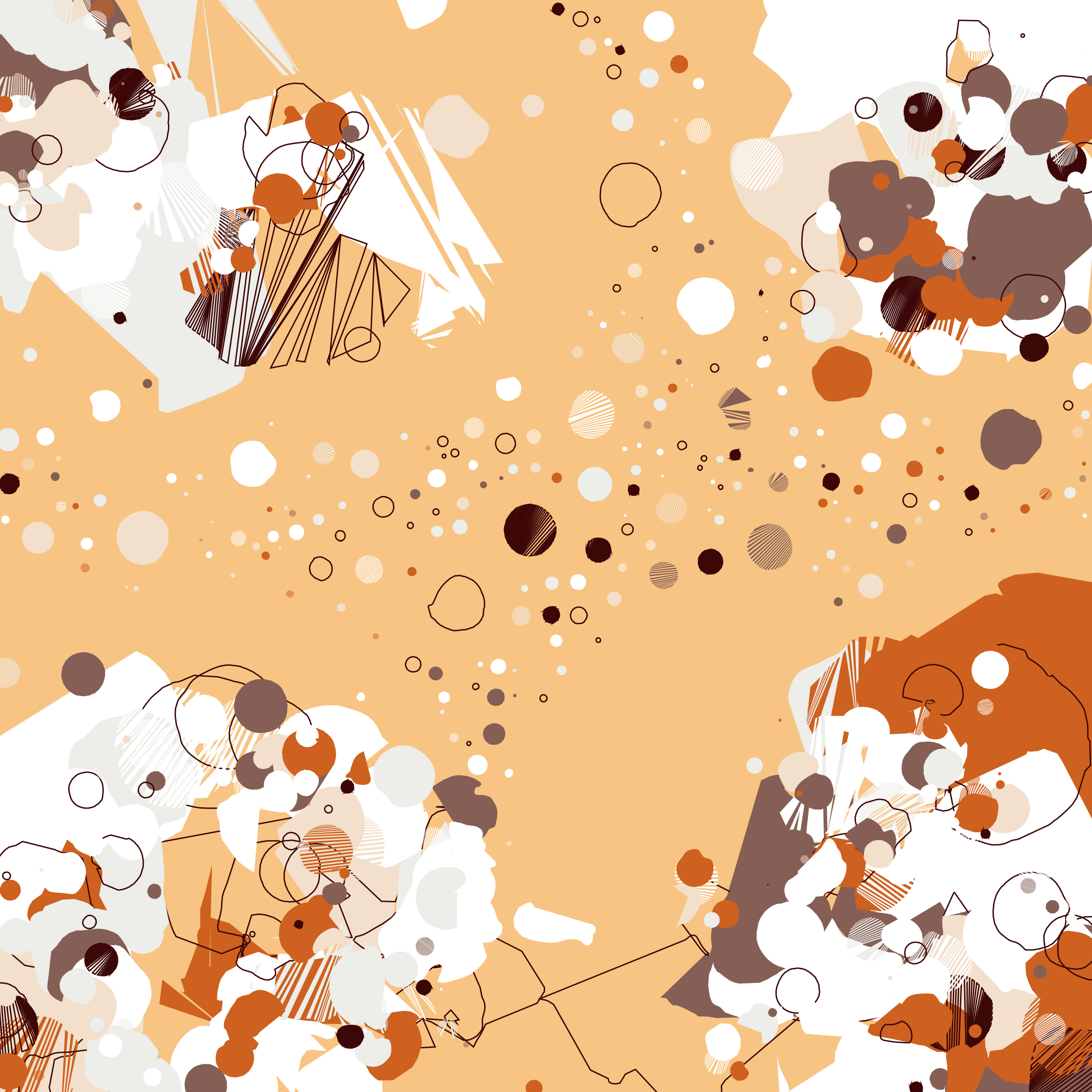 Coquina #3