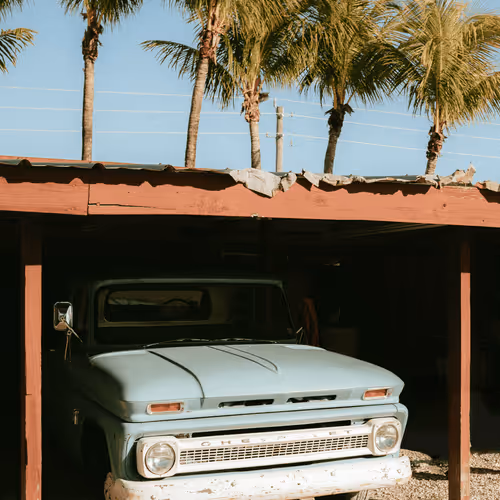 Blue Palm