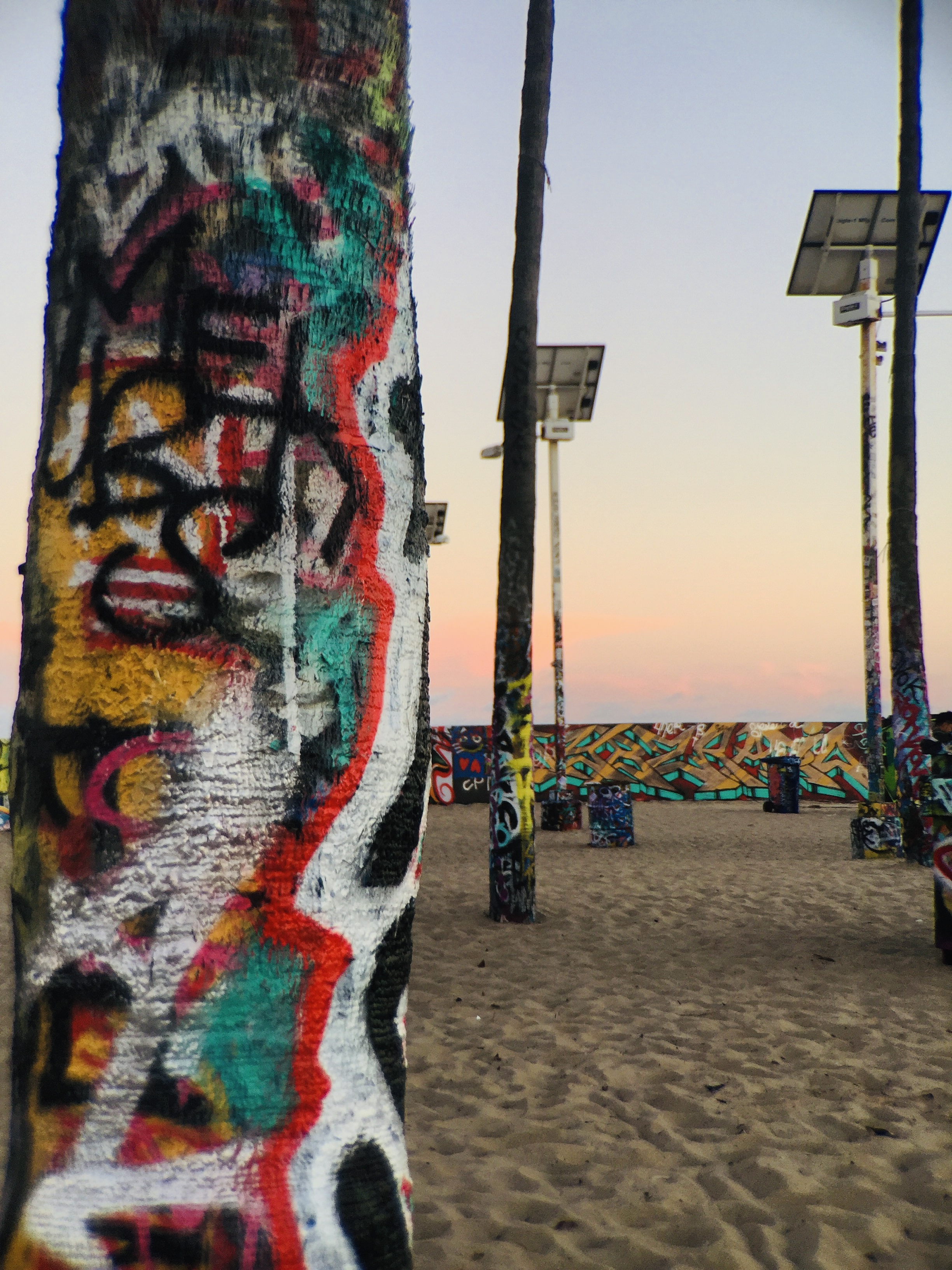 Graffiti Palms
