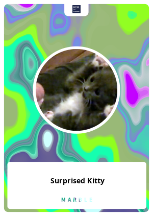 Surprised Kitty