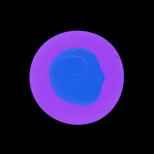 Plosh #2725