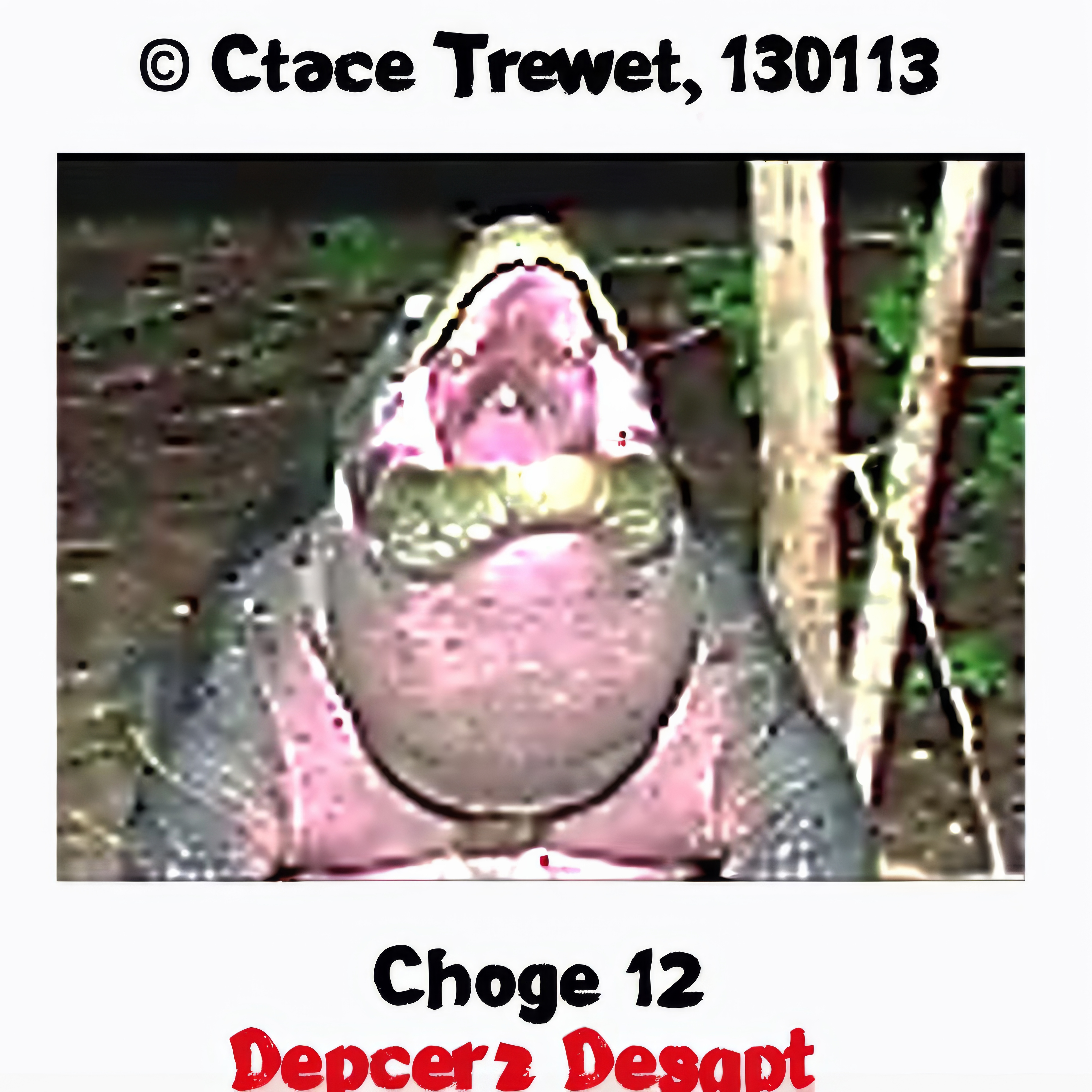Choge-12