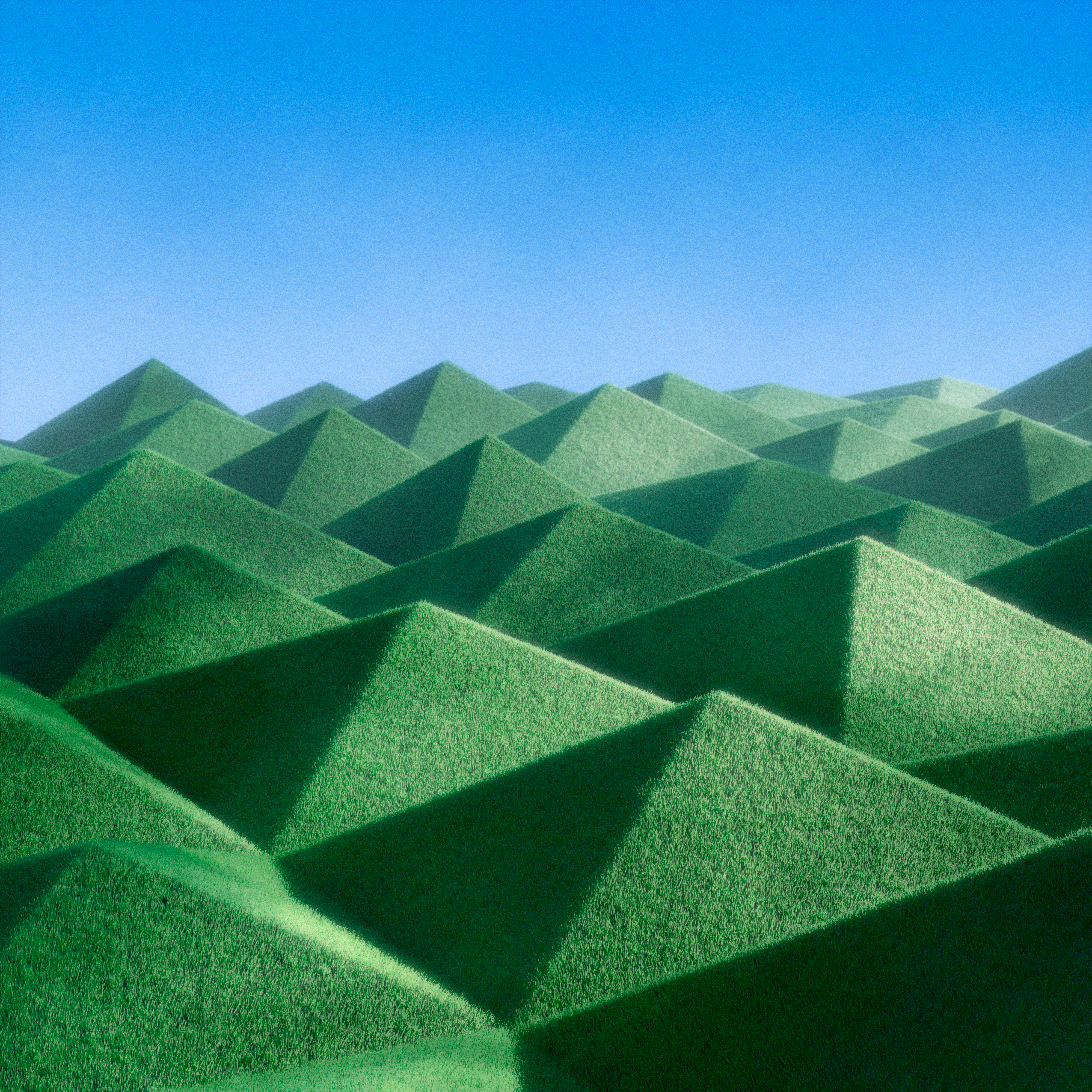 Fresh cut grass