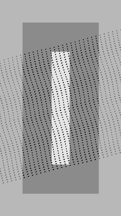 Monochrome Frames #1397
