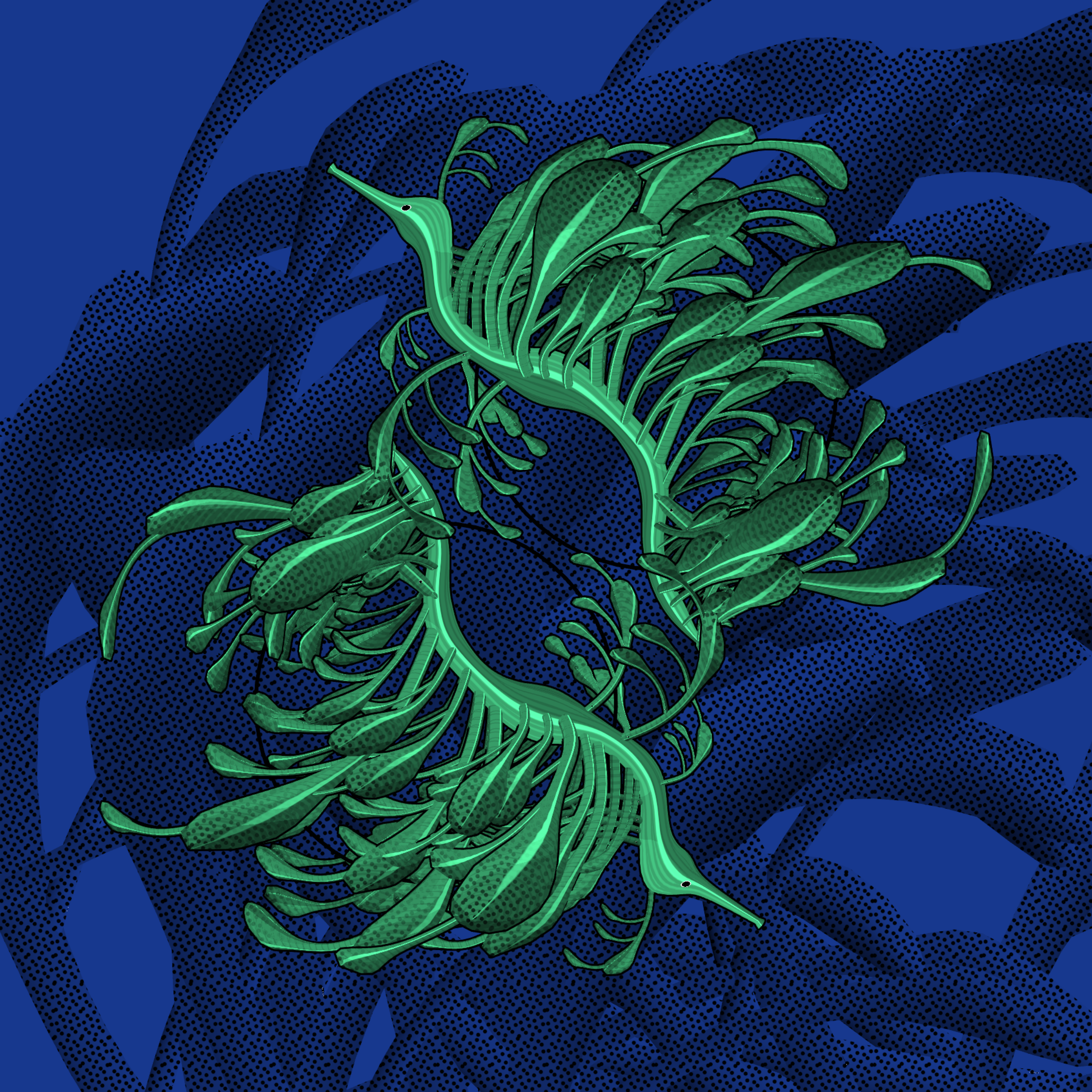 Seadragons #901
