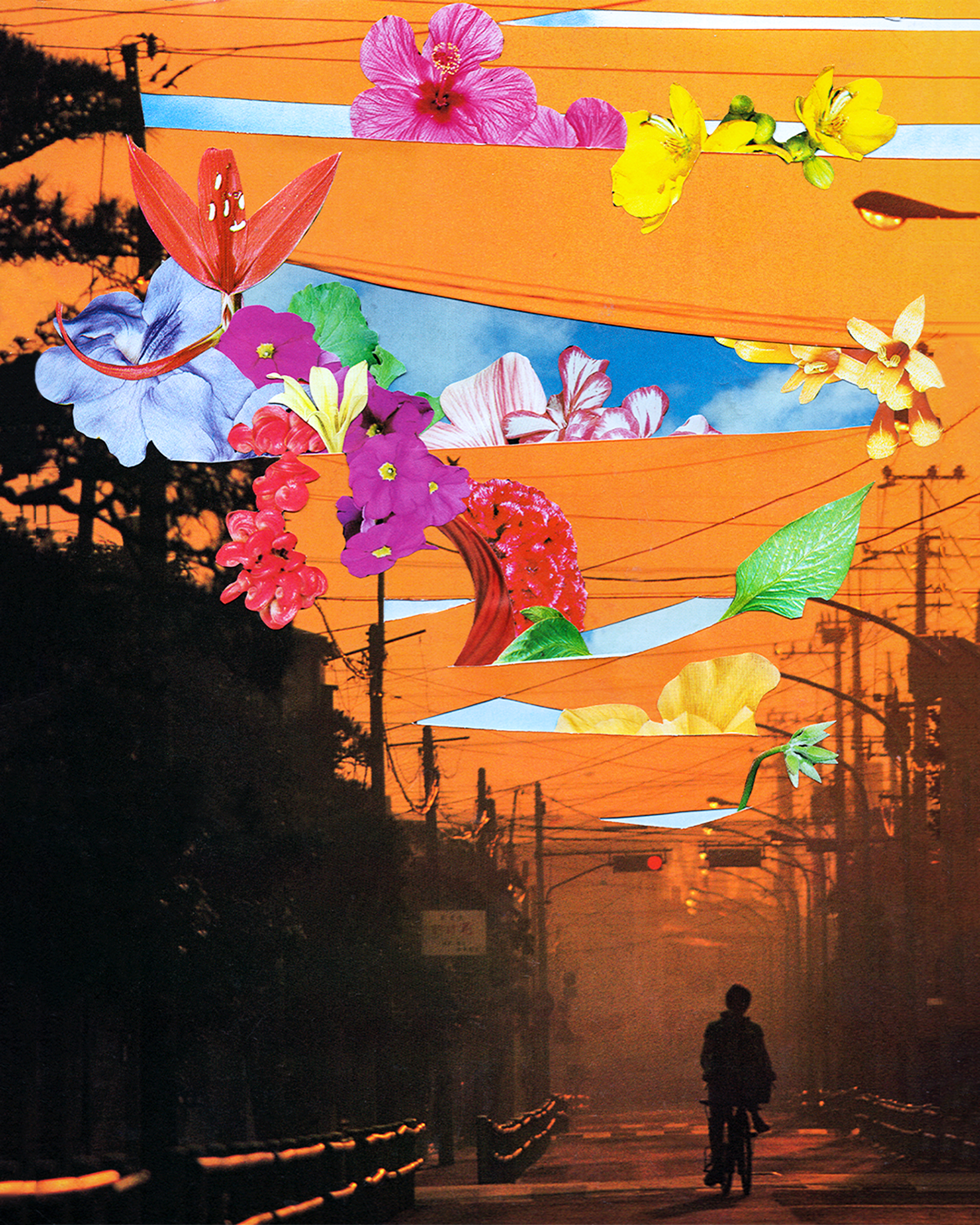 Silience