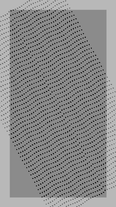 Monochrome Frames #1396