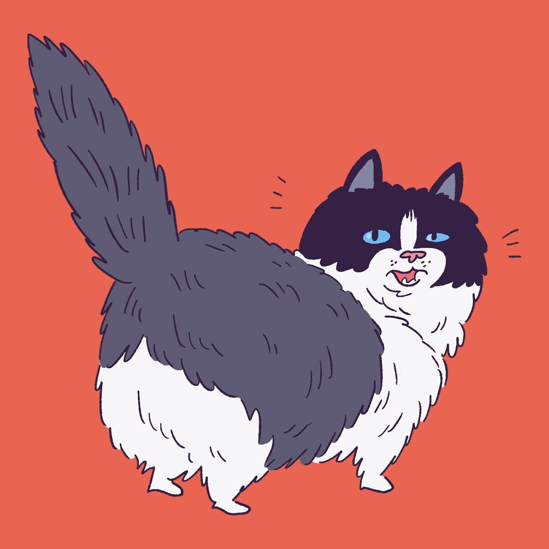 Ragamuffin #1186