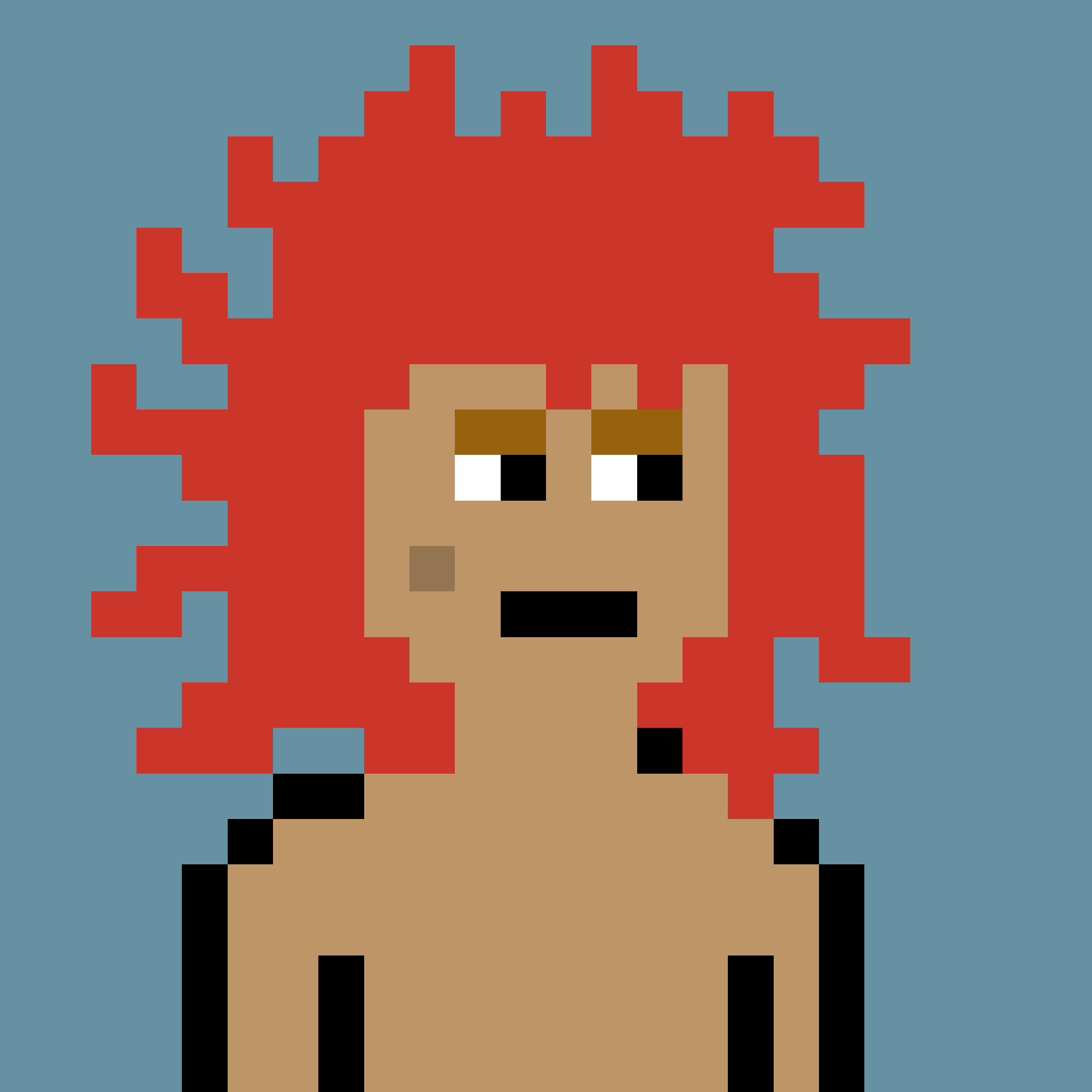 V0 Punk #5779