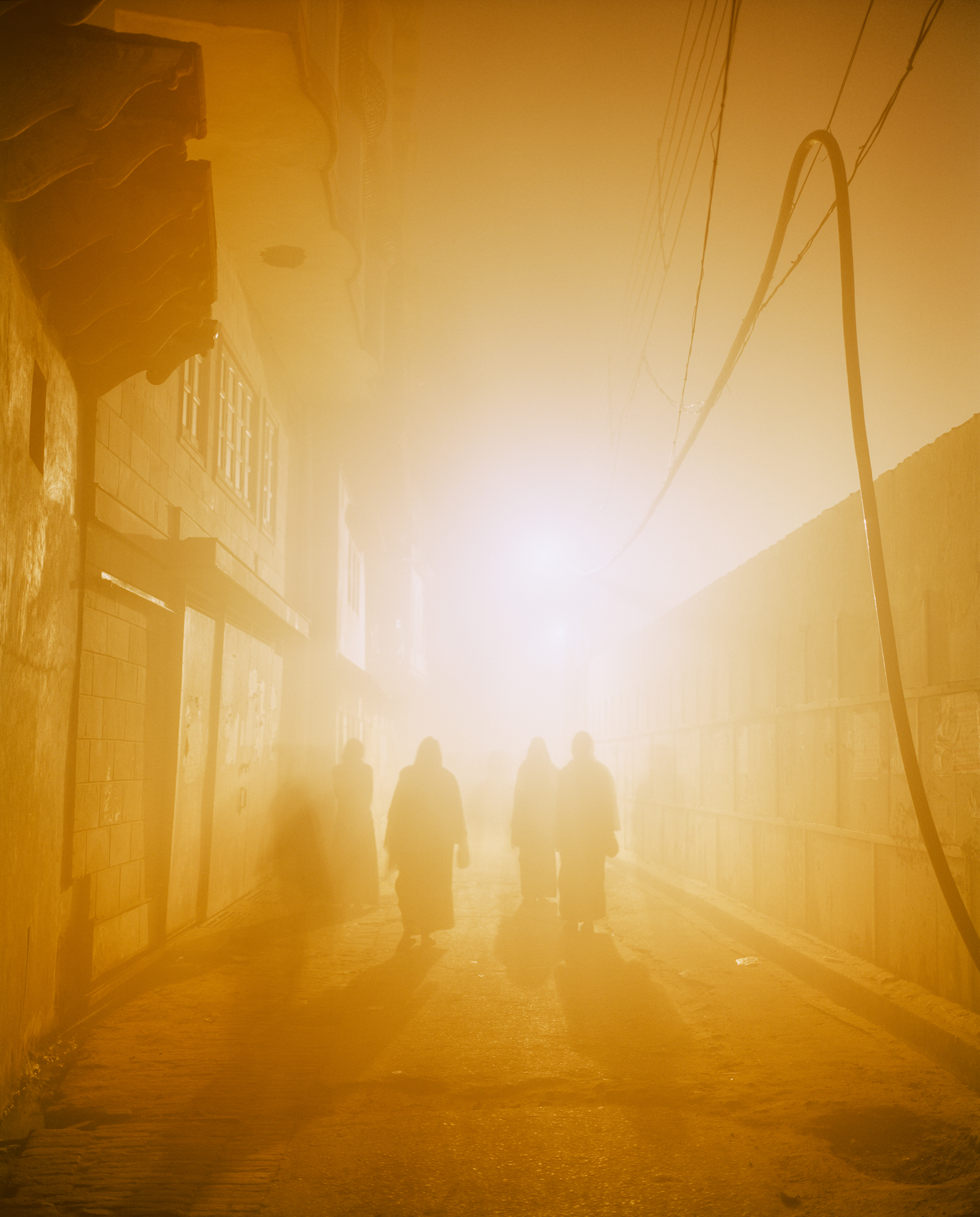 Morning Walk, Vrindavana