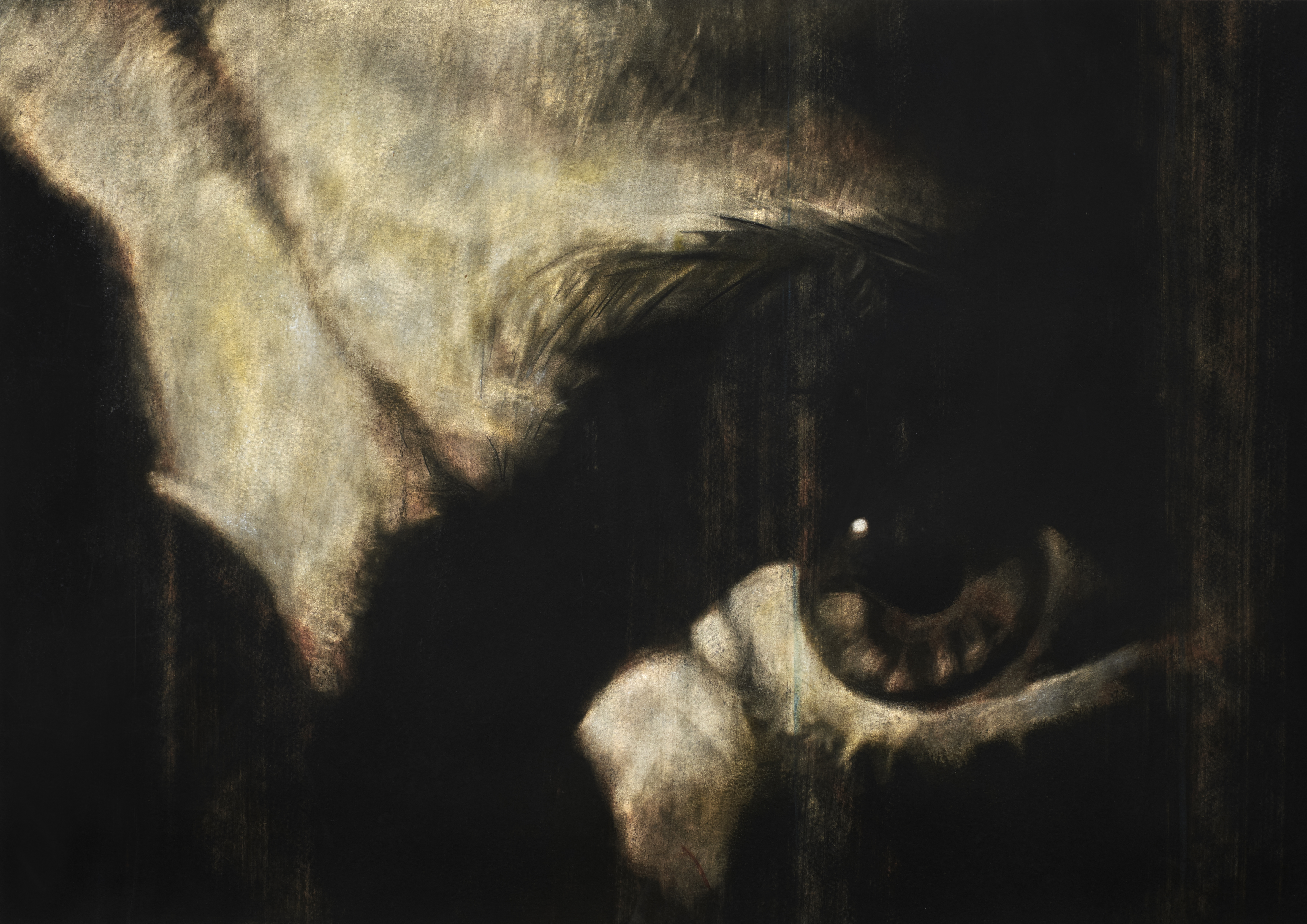 Saw