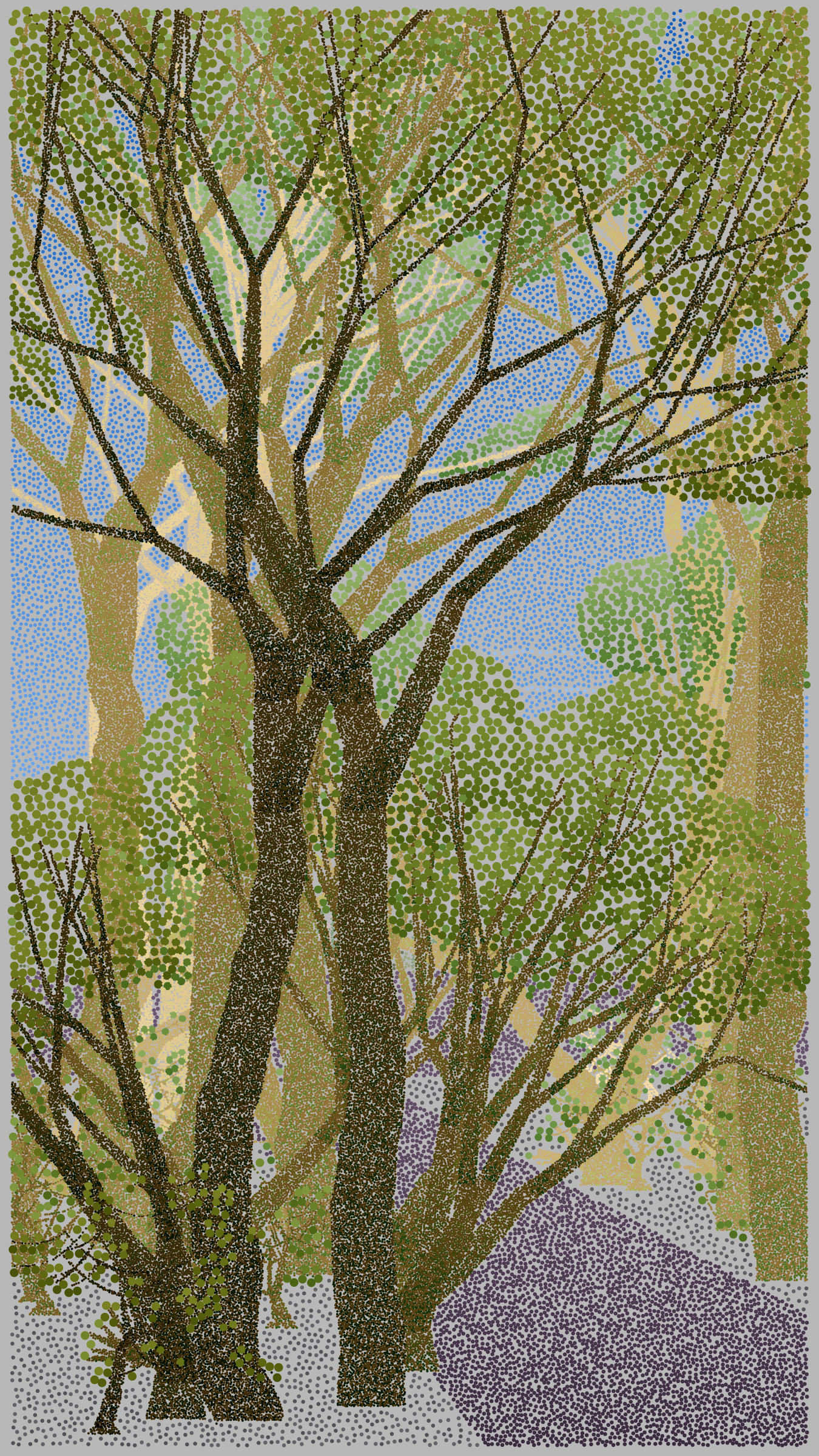 Bosque de Chapultepec #42